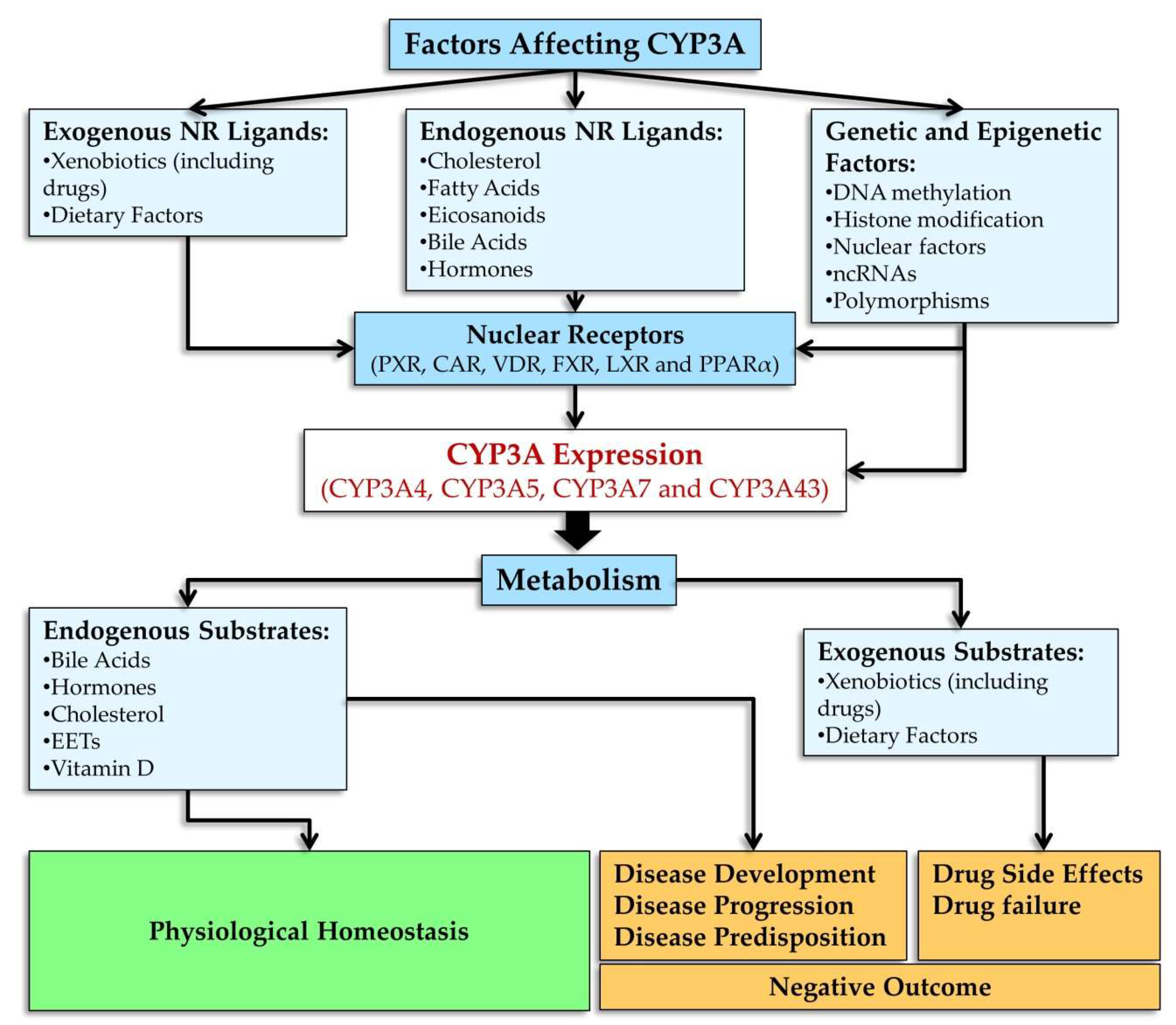 Biomedicines 10 02686 g005 Biomedicines 10 02686 g005