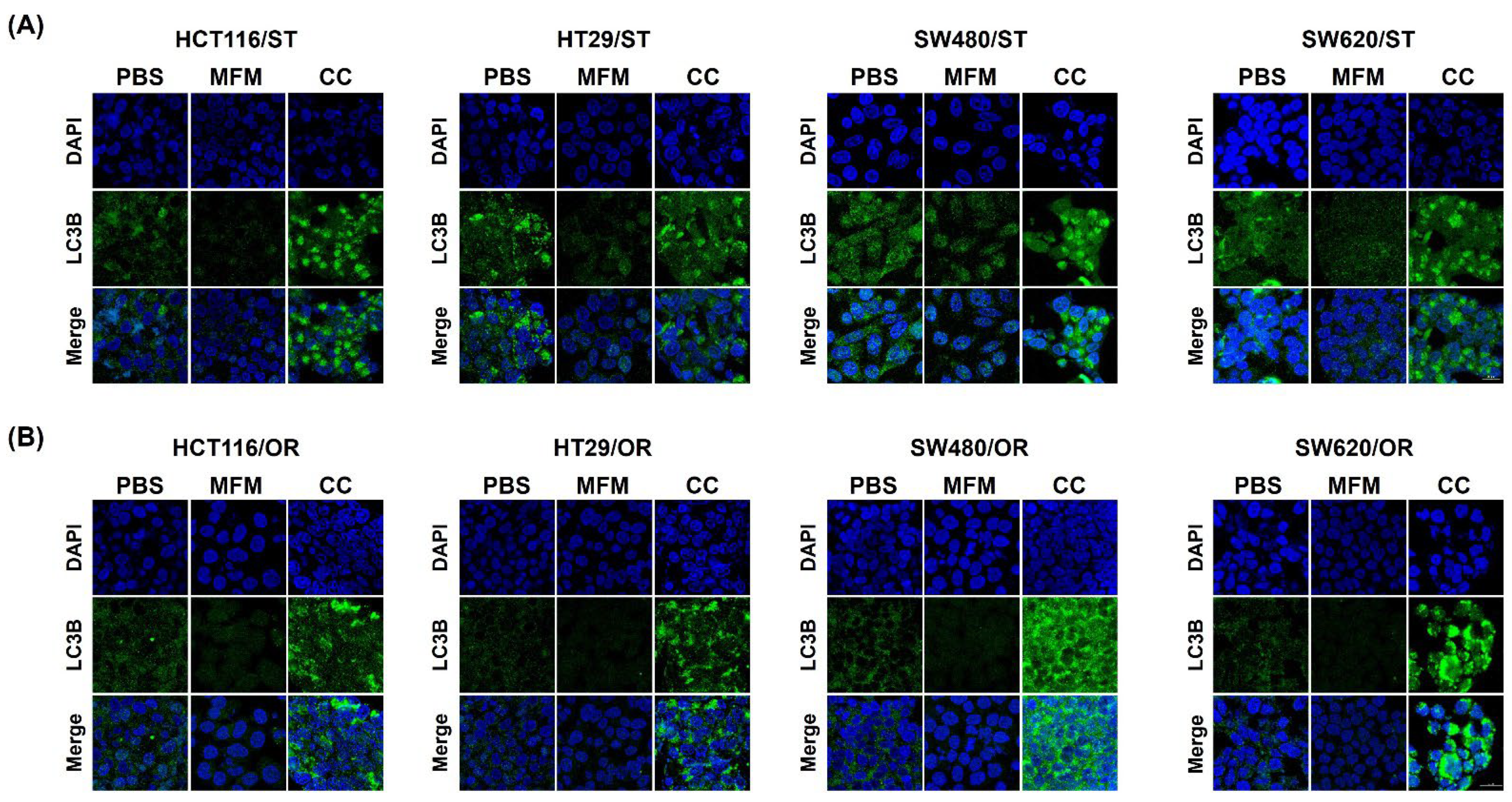 Biomedicines 10 02690 g008 Biomedicines 10 02690 g008