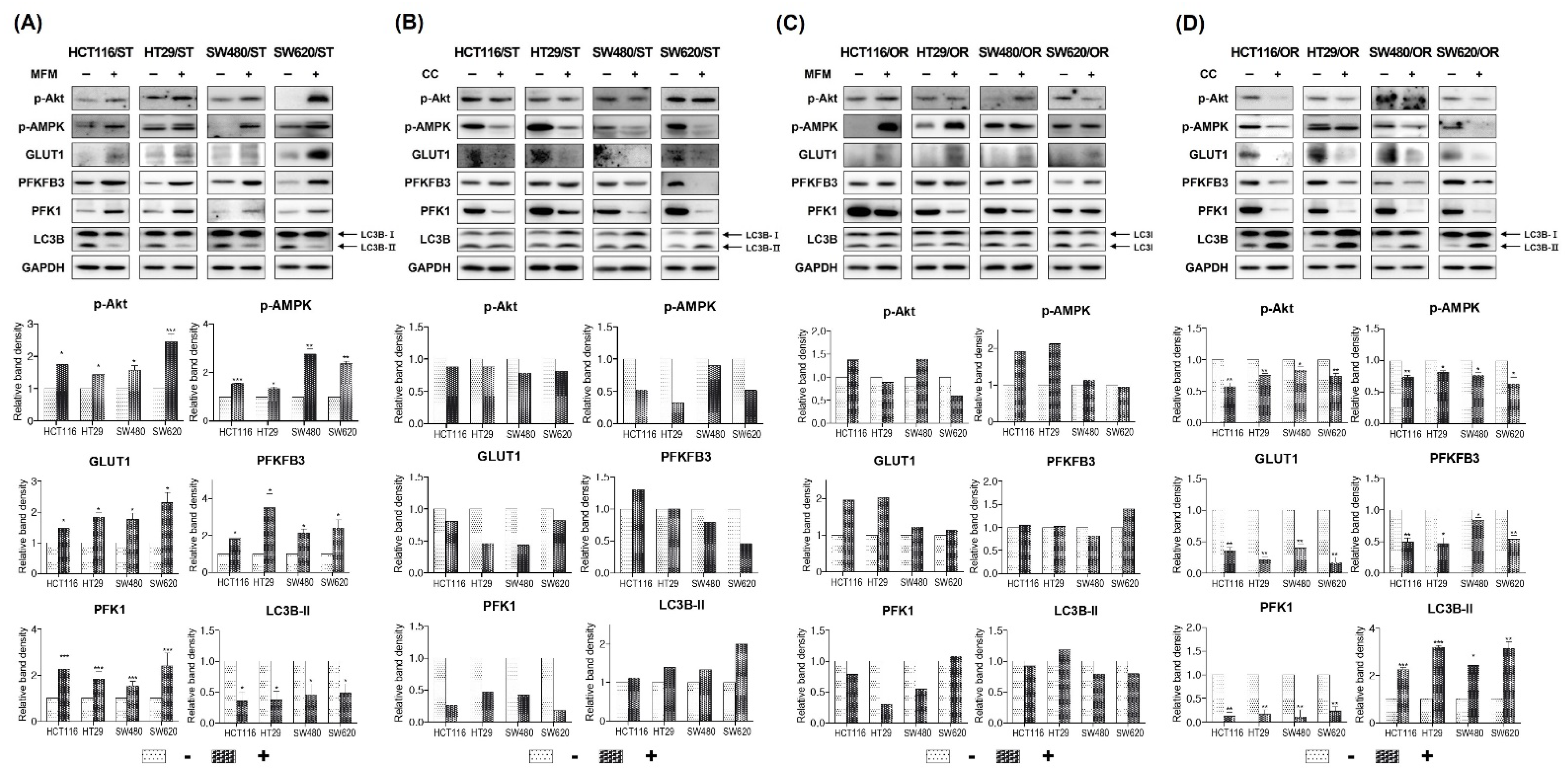 Biomedicines 10 02690 g009 Biomedicines 10 02690 g009