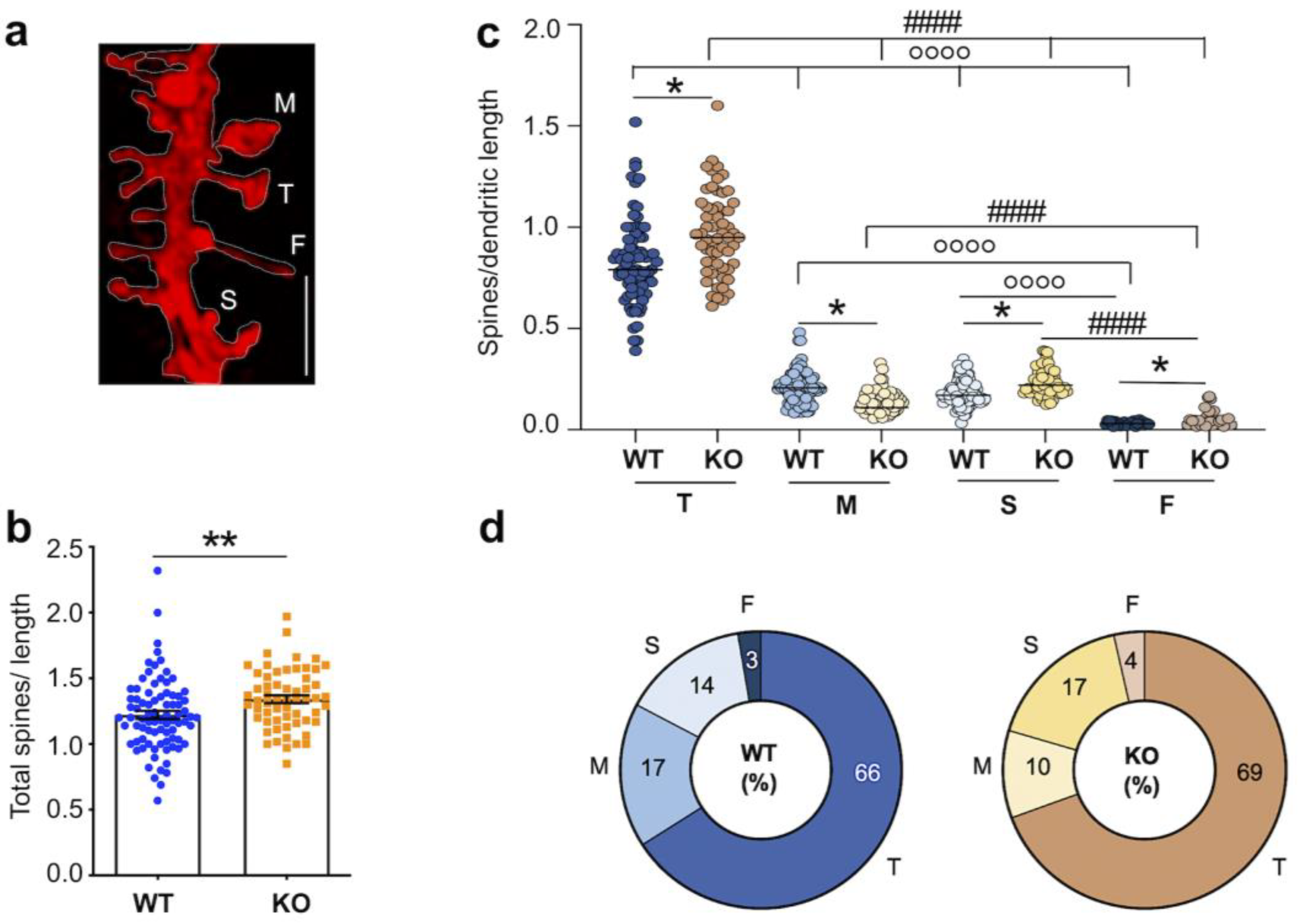 Biomedicines 10 02692 g003