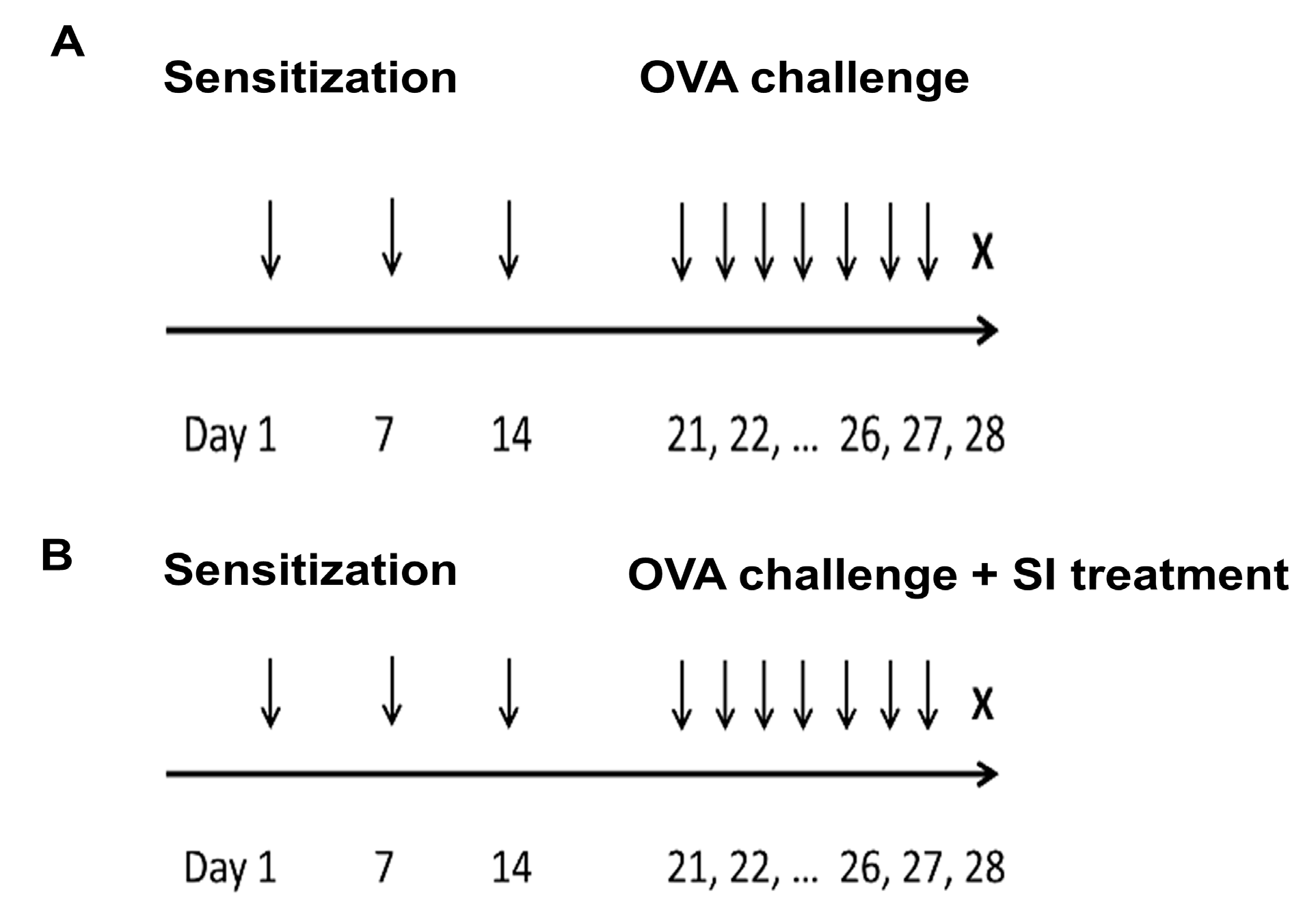 Biomedicines 10 02693 g001