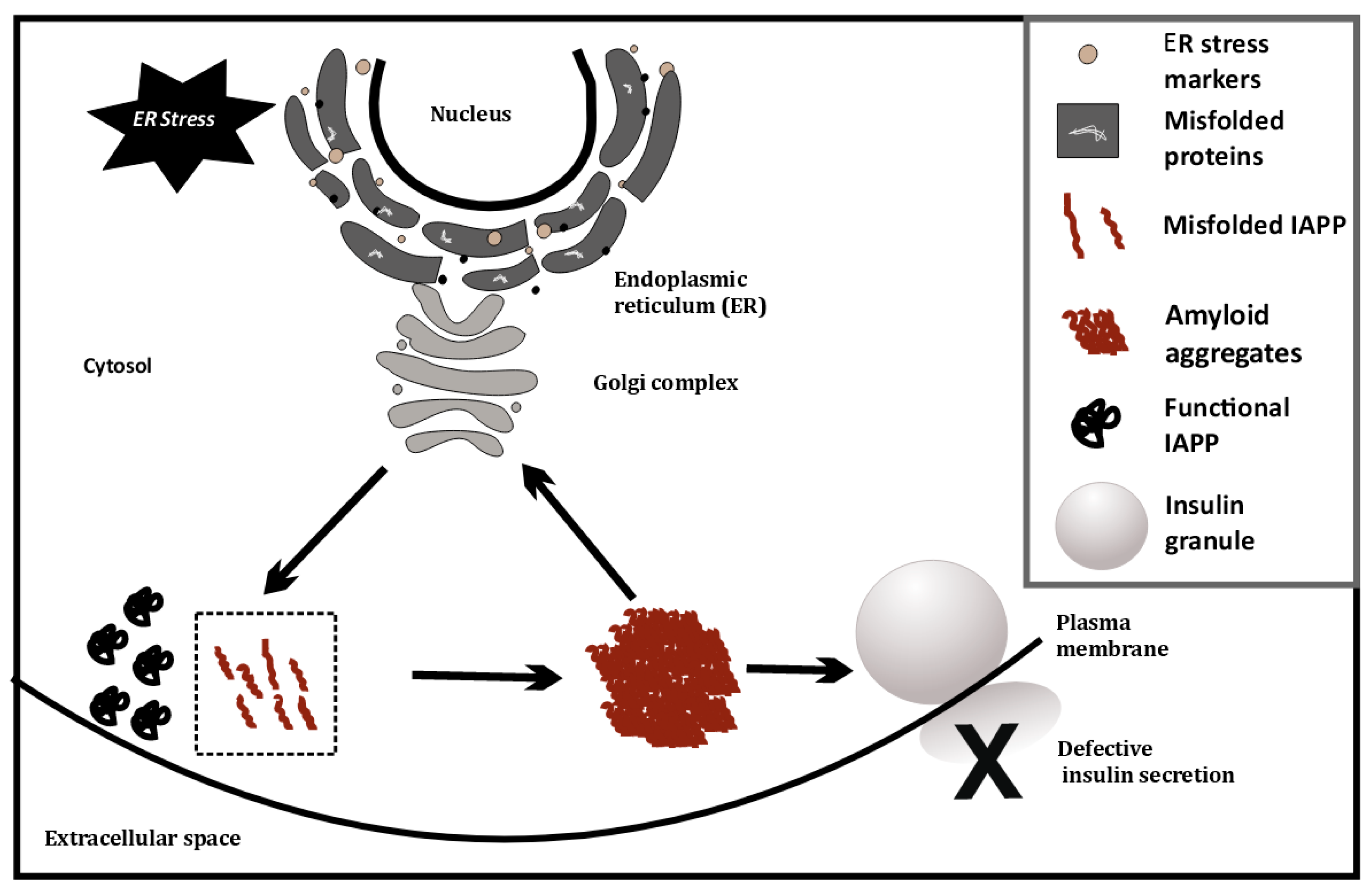 Biomedicines 10 02695 g003 550