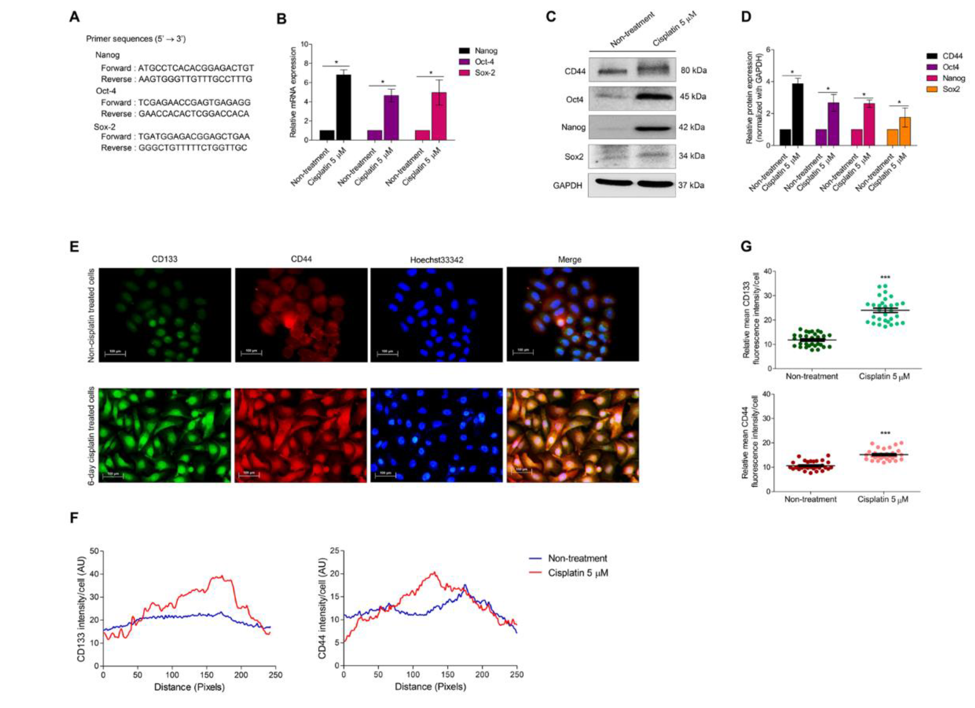 Biomedicines 10 02703 g004 Biomedicines 10 02703 g004