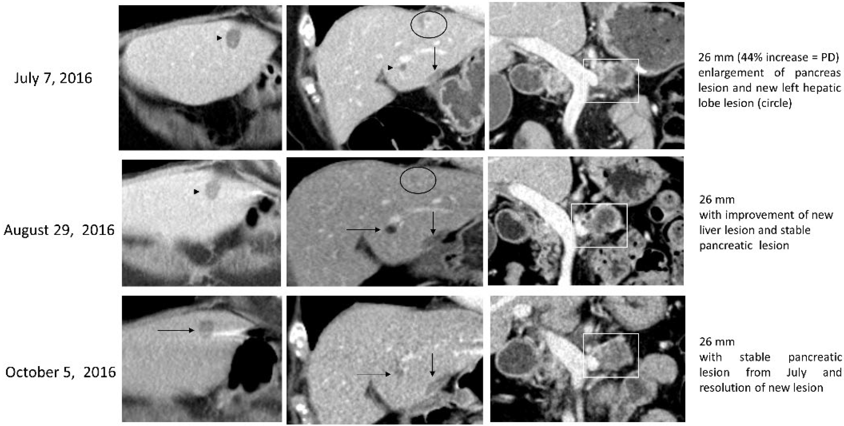 Biomedicines 10 02705 g002 Biomedicines 10 02705 g002