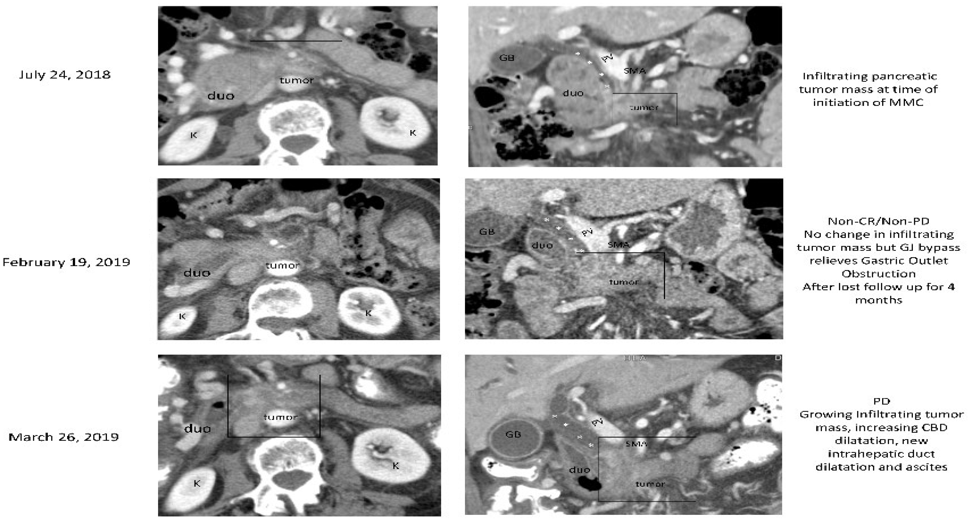 Biomedicines 10 02705 g003 Biomedicines 10 02705 g003