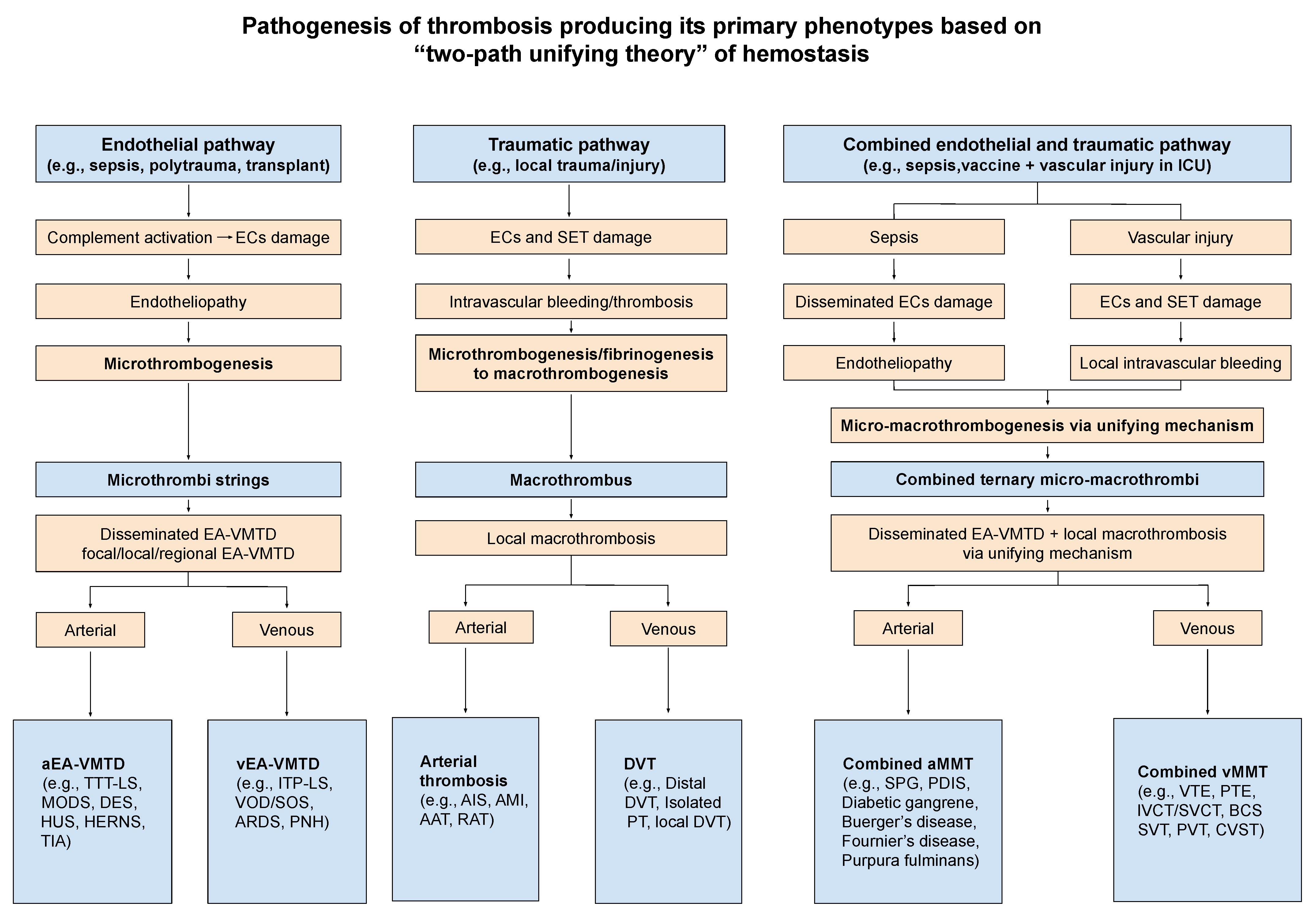 Biomedicines 10 02706 g004