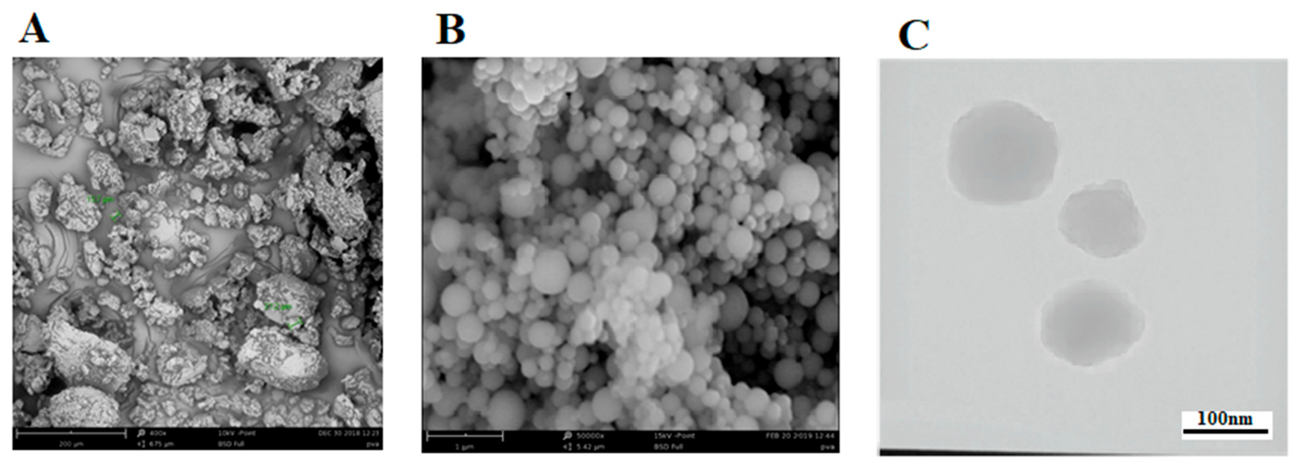 Biomedicines 10 02713 g003 Biomedicines 10 02713 g003