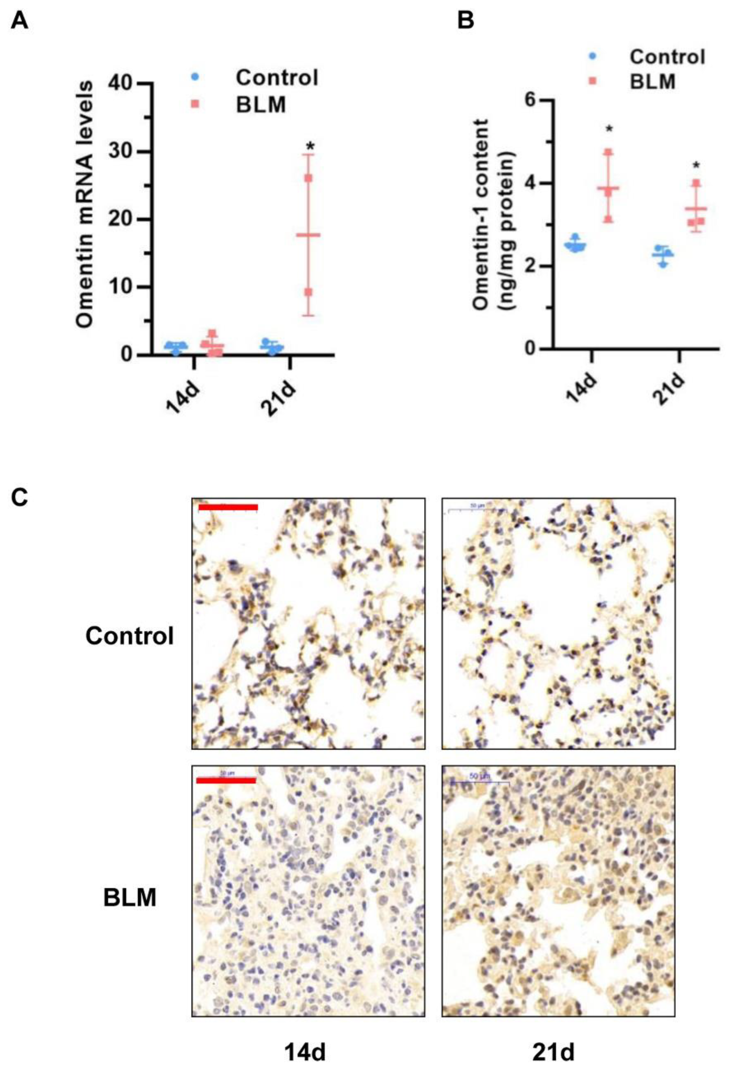 Biomedicines 10 02715 g001 Biomedicines 10 02715 g001