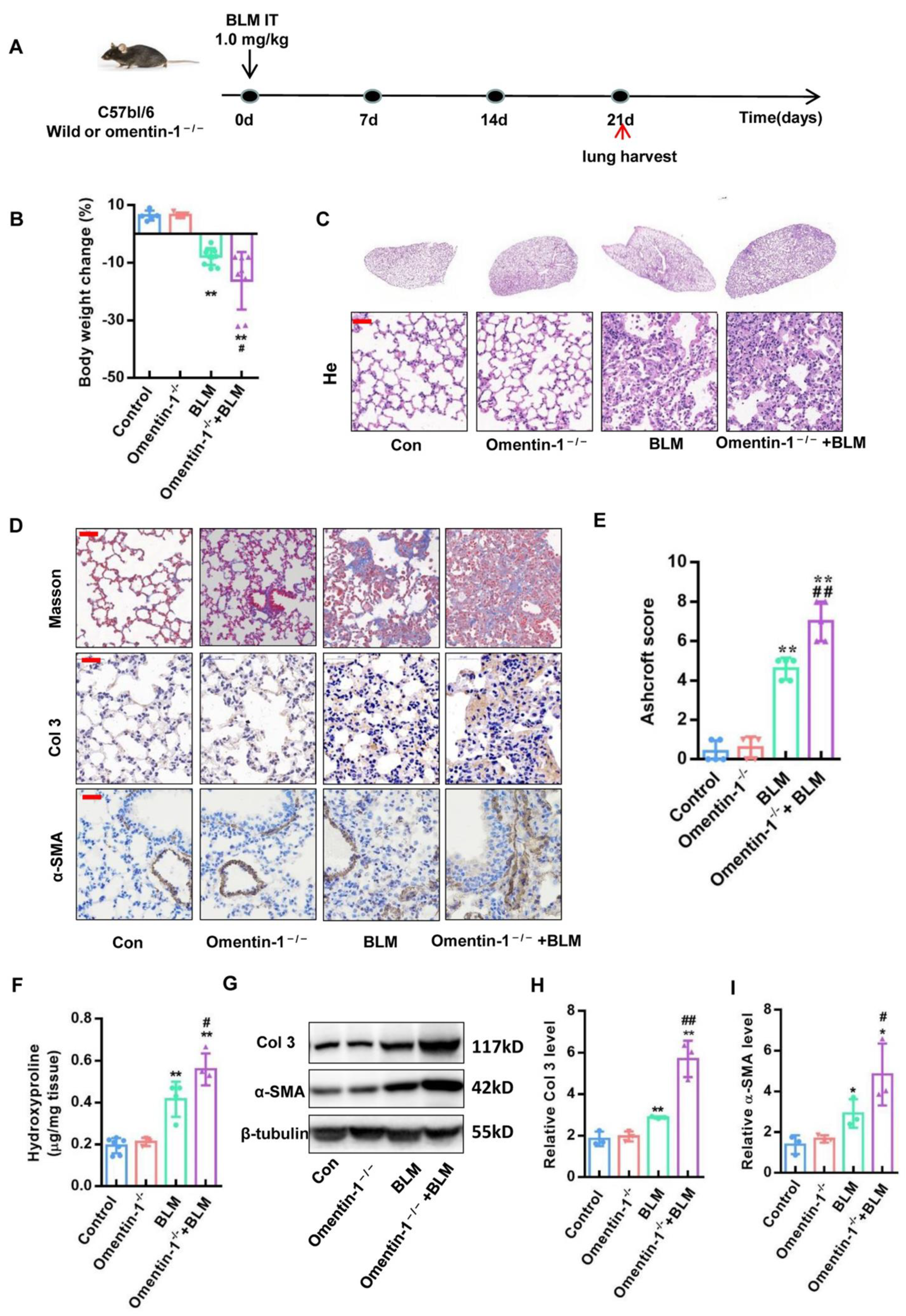 Biomedicines 10 02715 g002 Biomedicines 10 02715 g002