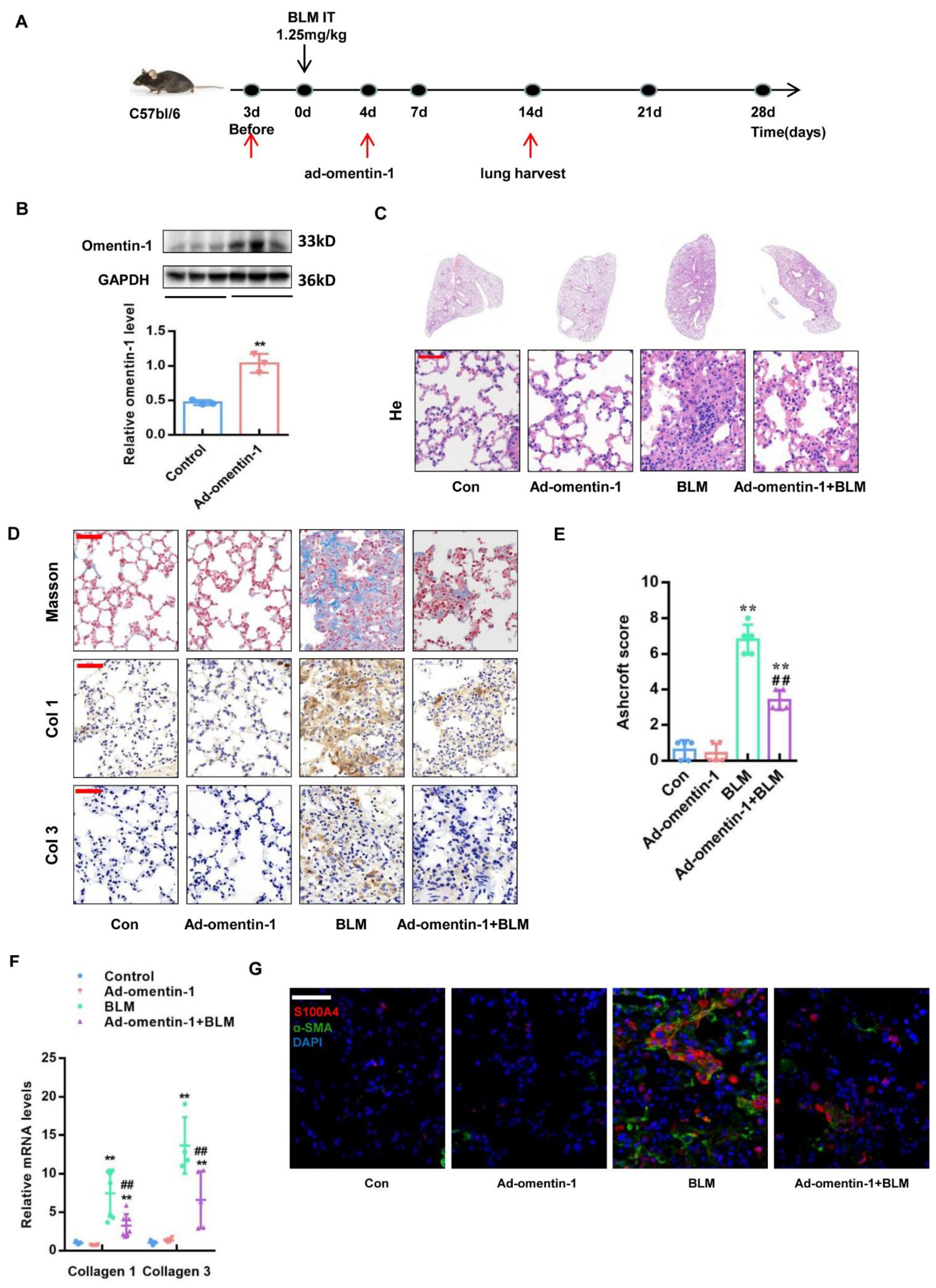 Biomedicines 10 02715 g003 Biomedicines 10 02715 g003