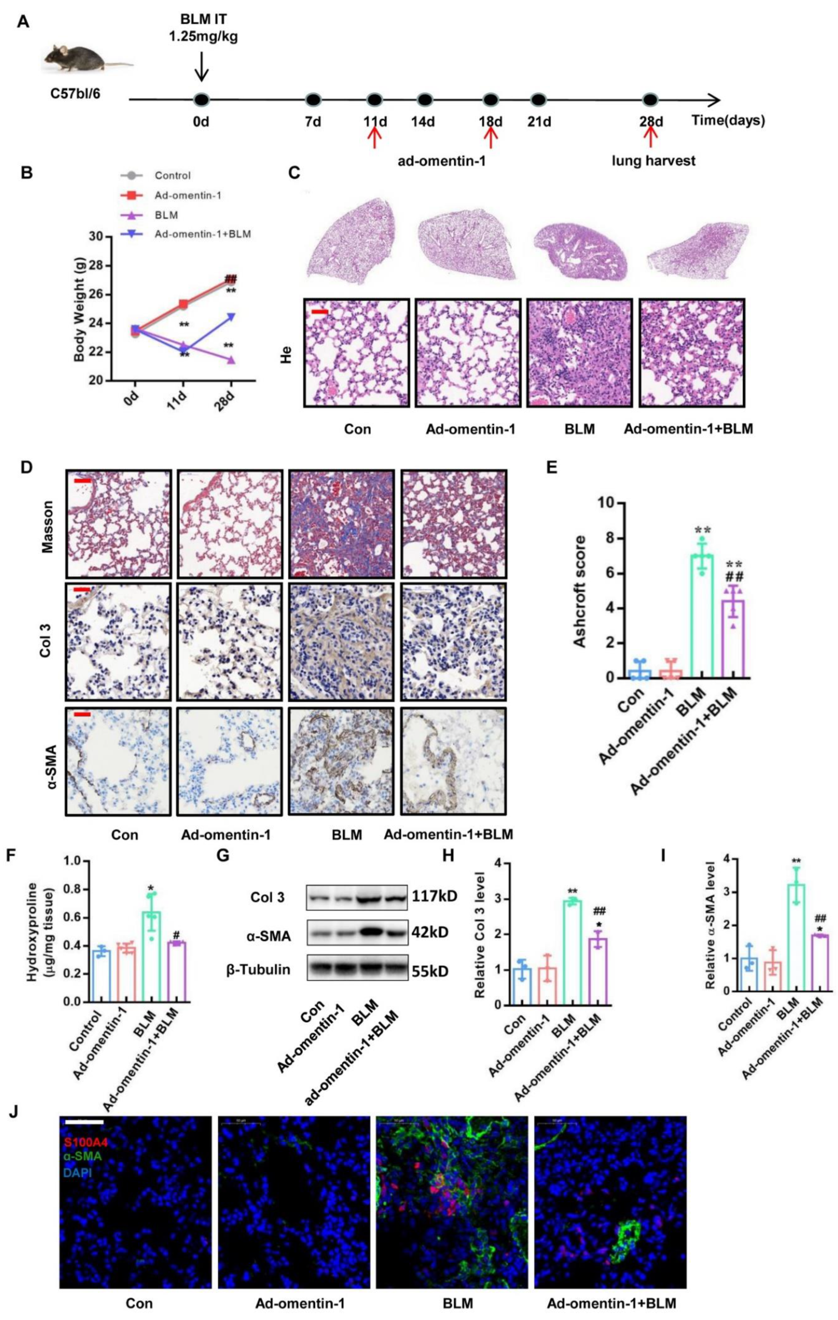 Biomedicines 10 02715 g004 Biomedicines 10 02715 g004
