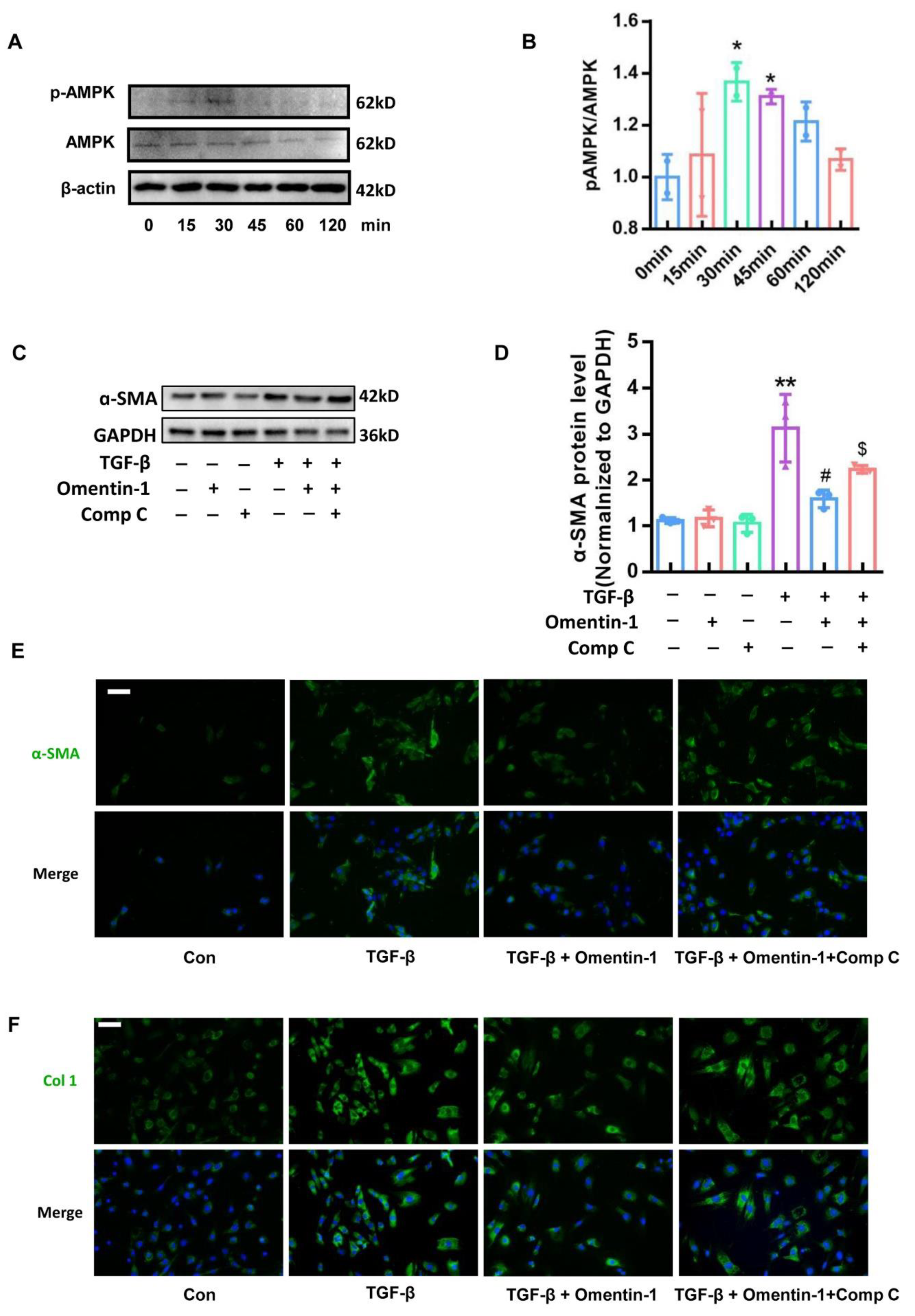 Biomedicines 10 02715 g007 Biomedicines 10 02715 g007