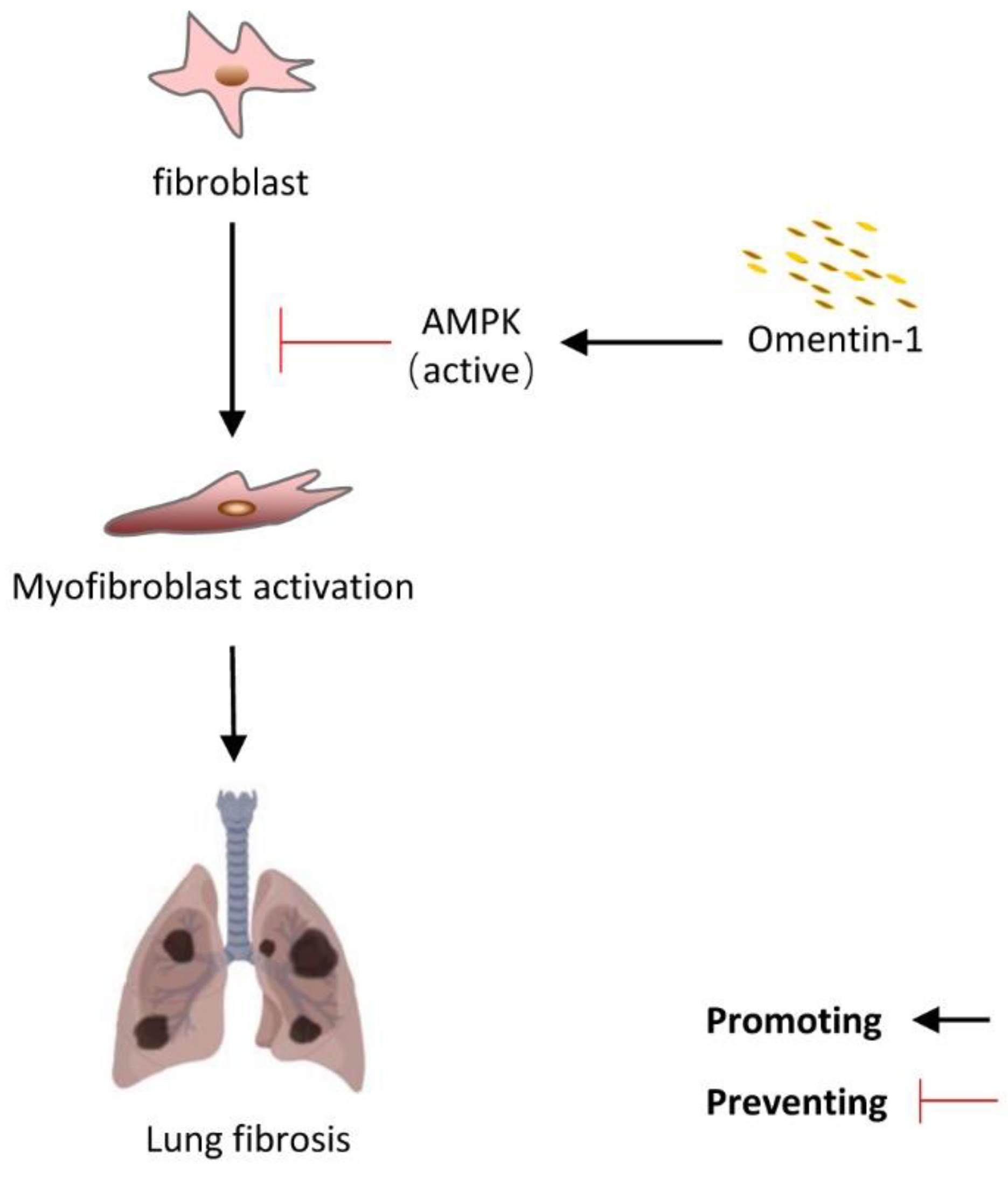 Biomedicines 10 02715 g008 Biomedicines 10 02715 g008