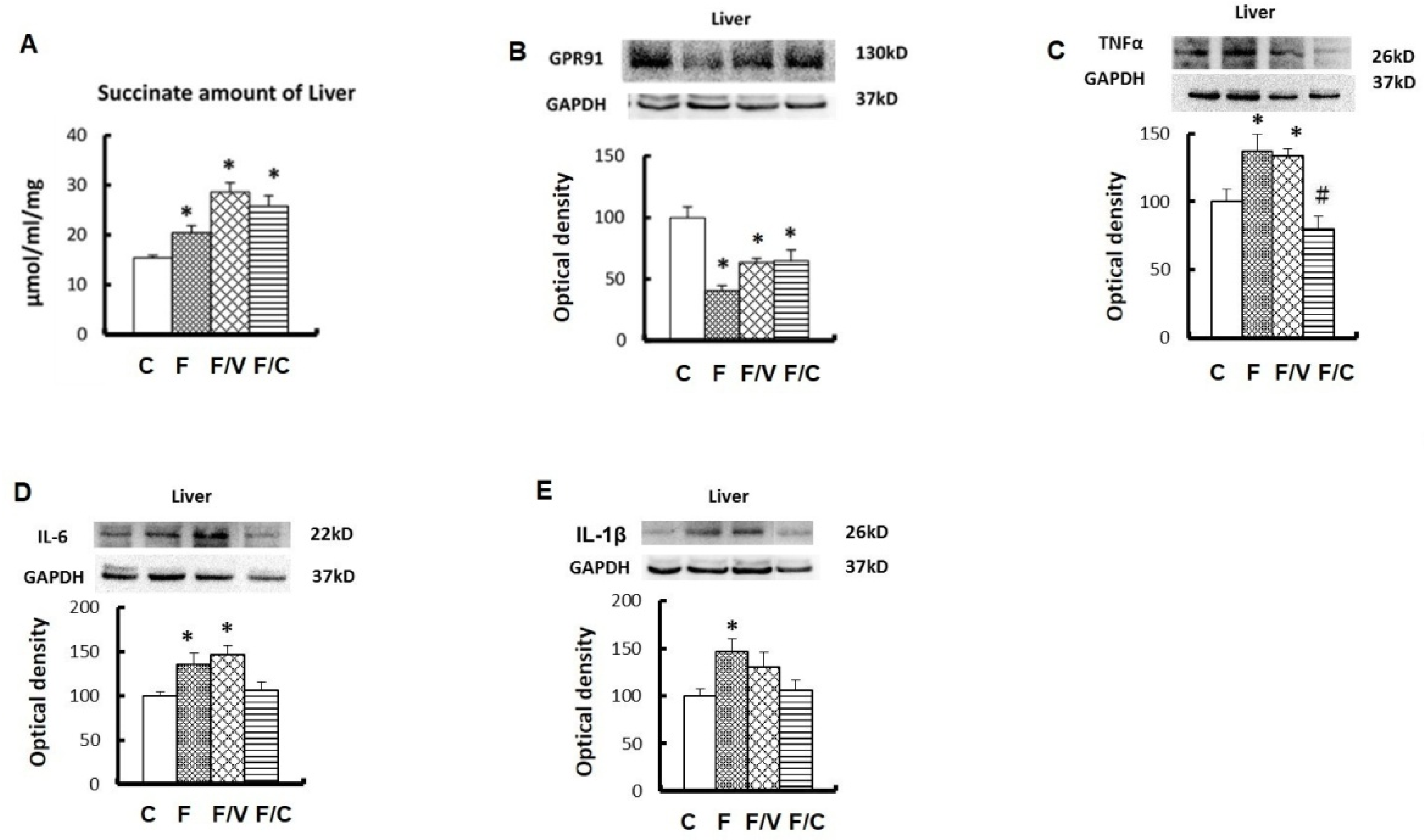 Biomedicines 10 02716 g002 Biomedicines 10 02716 g002