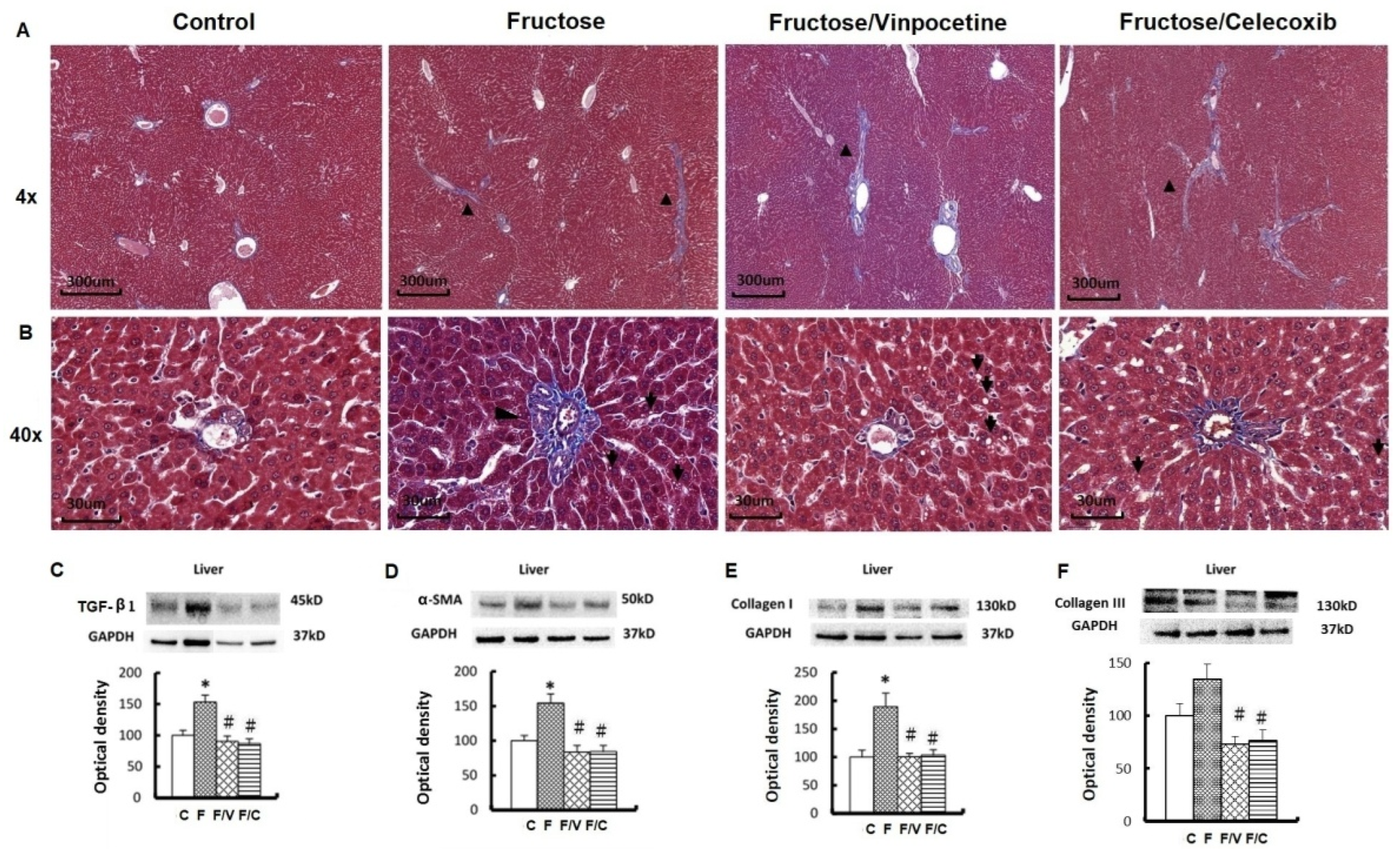 Biomedicines 10 02716 g003 Biomedicines 10 02716 g003