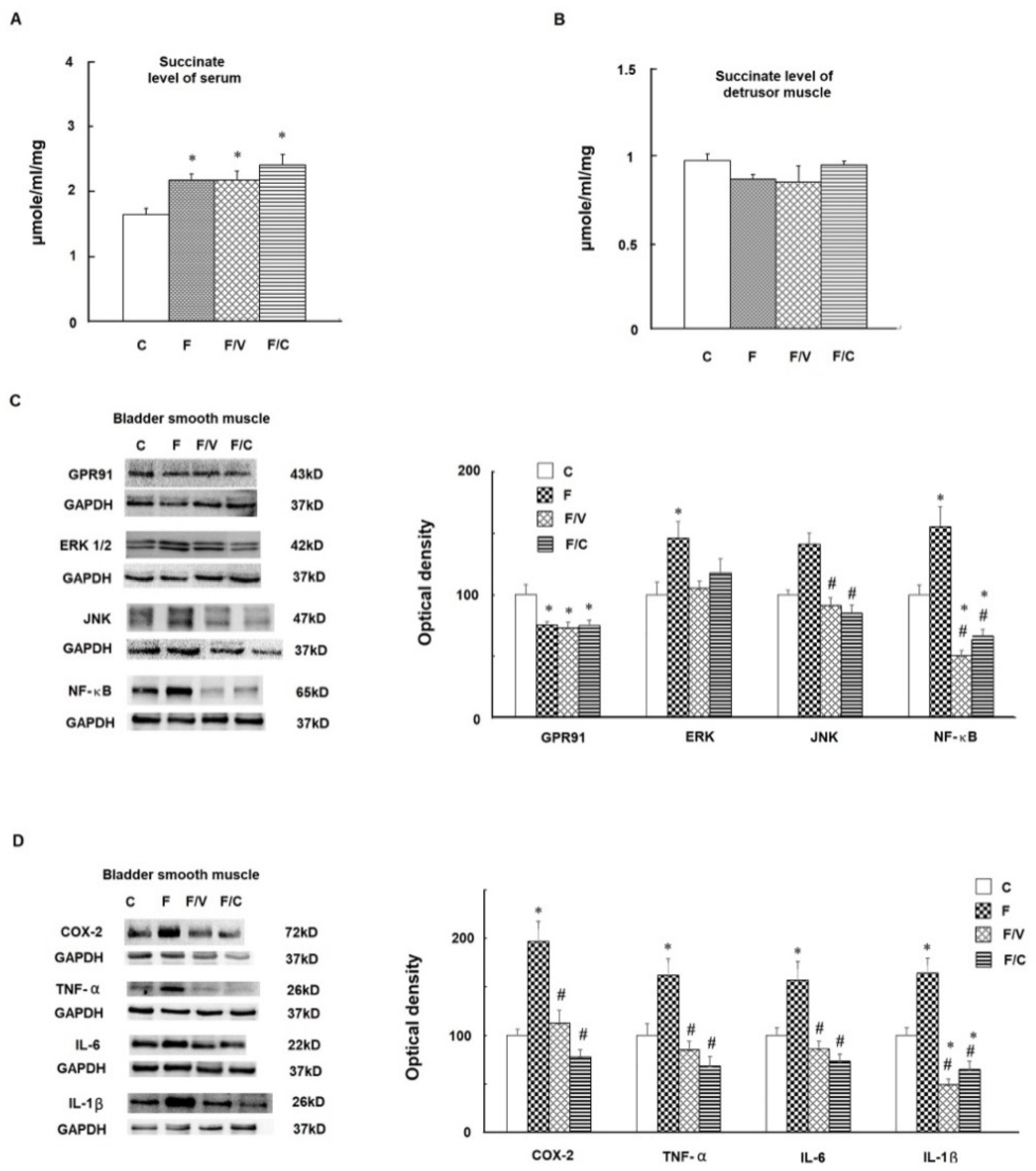 Biomedicines 10 02716 g004 Biomedicines 10 02716 g004