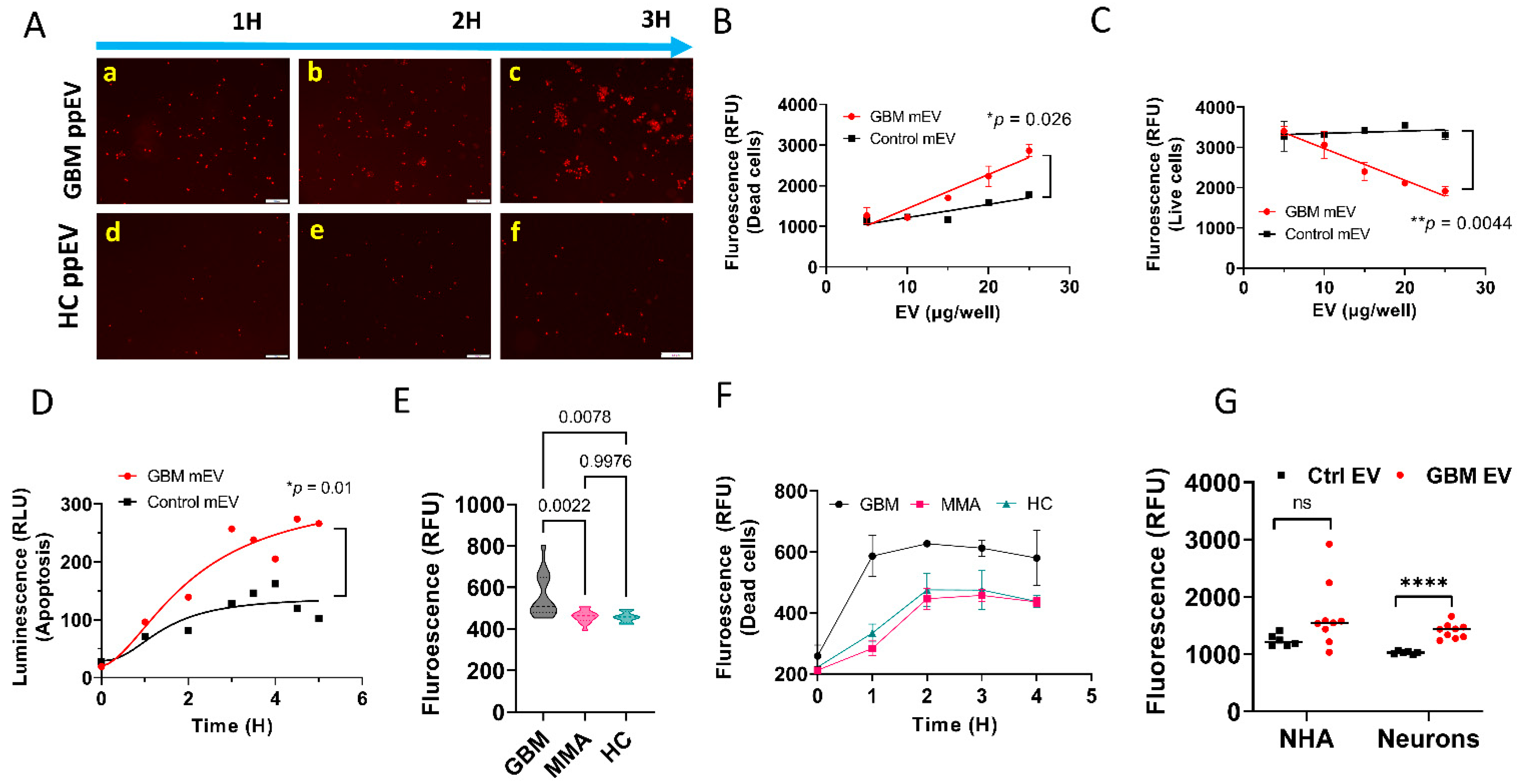 Biomedicines 10 02718 g002 Biomedicines 10 02718 g002