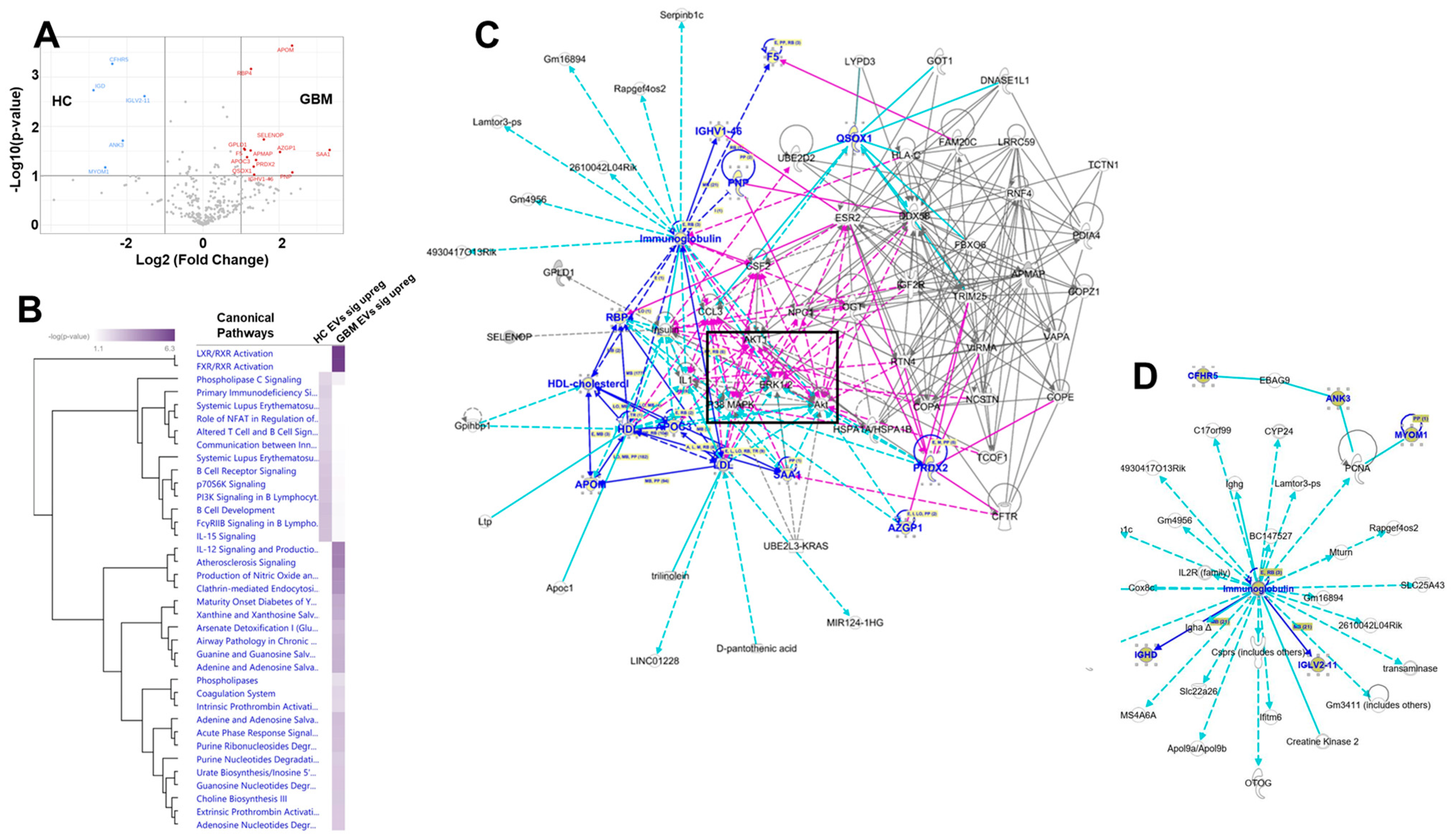 Biomedicines 10 02718 g007 Biomedicines 10 02718 g007