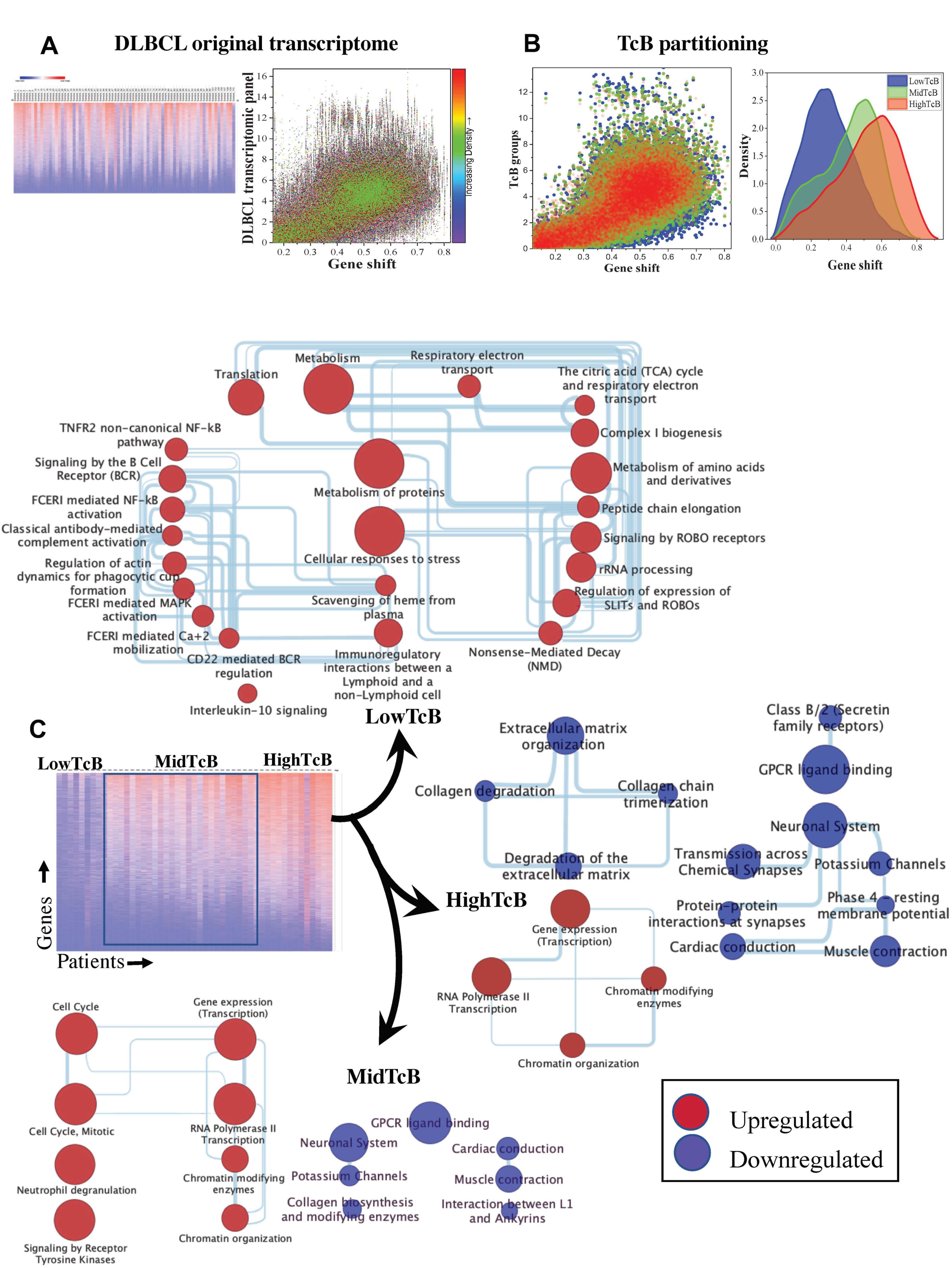 Biomedicines 10 02720 g002 Biomedicines 10 02720 g002