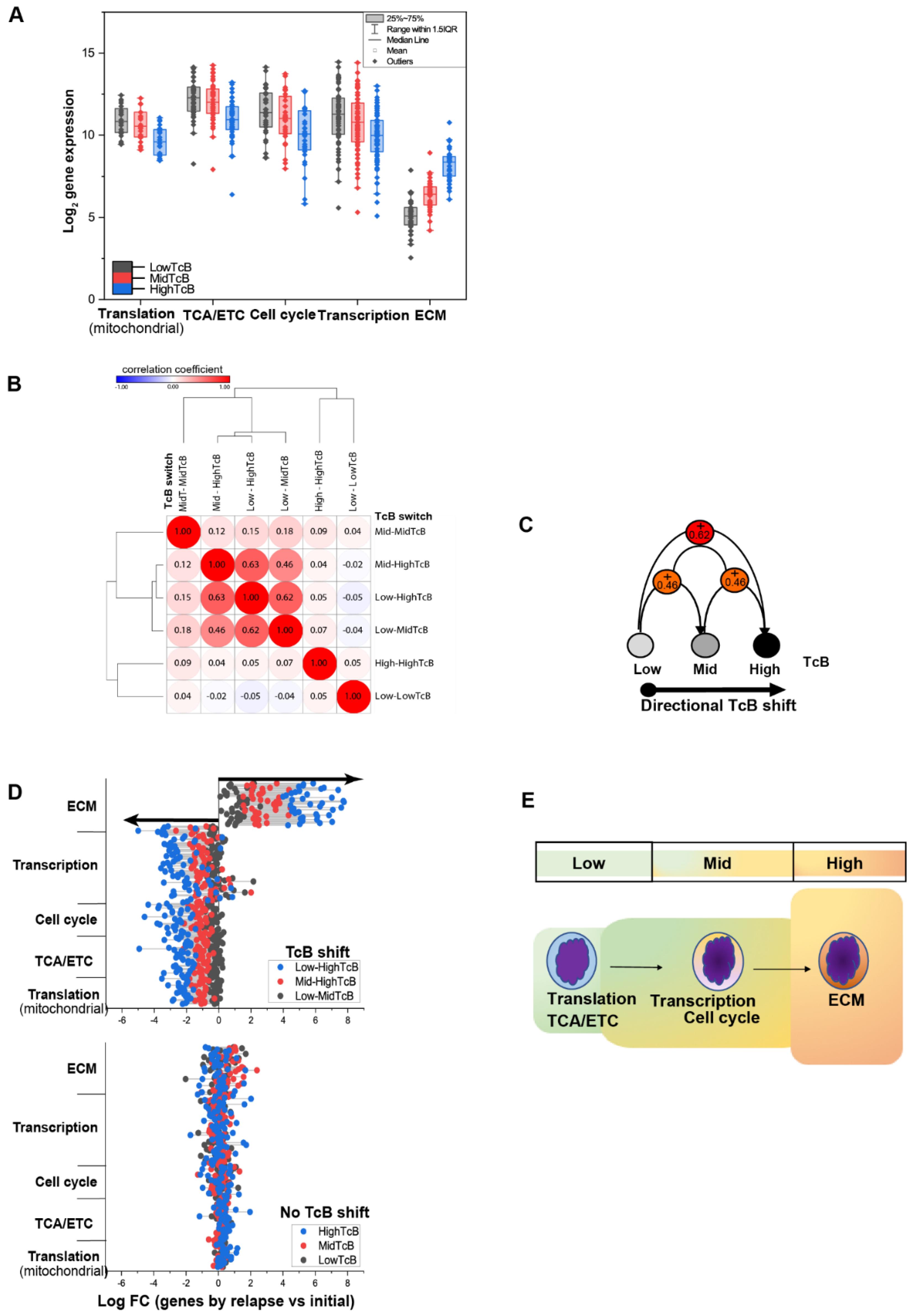 Biomedicines 10 02720 g005 Biomedicines 10 02720 g005