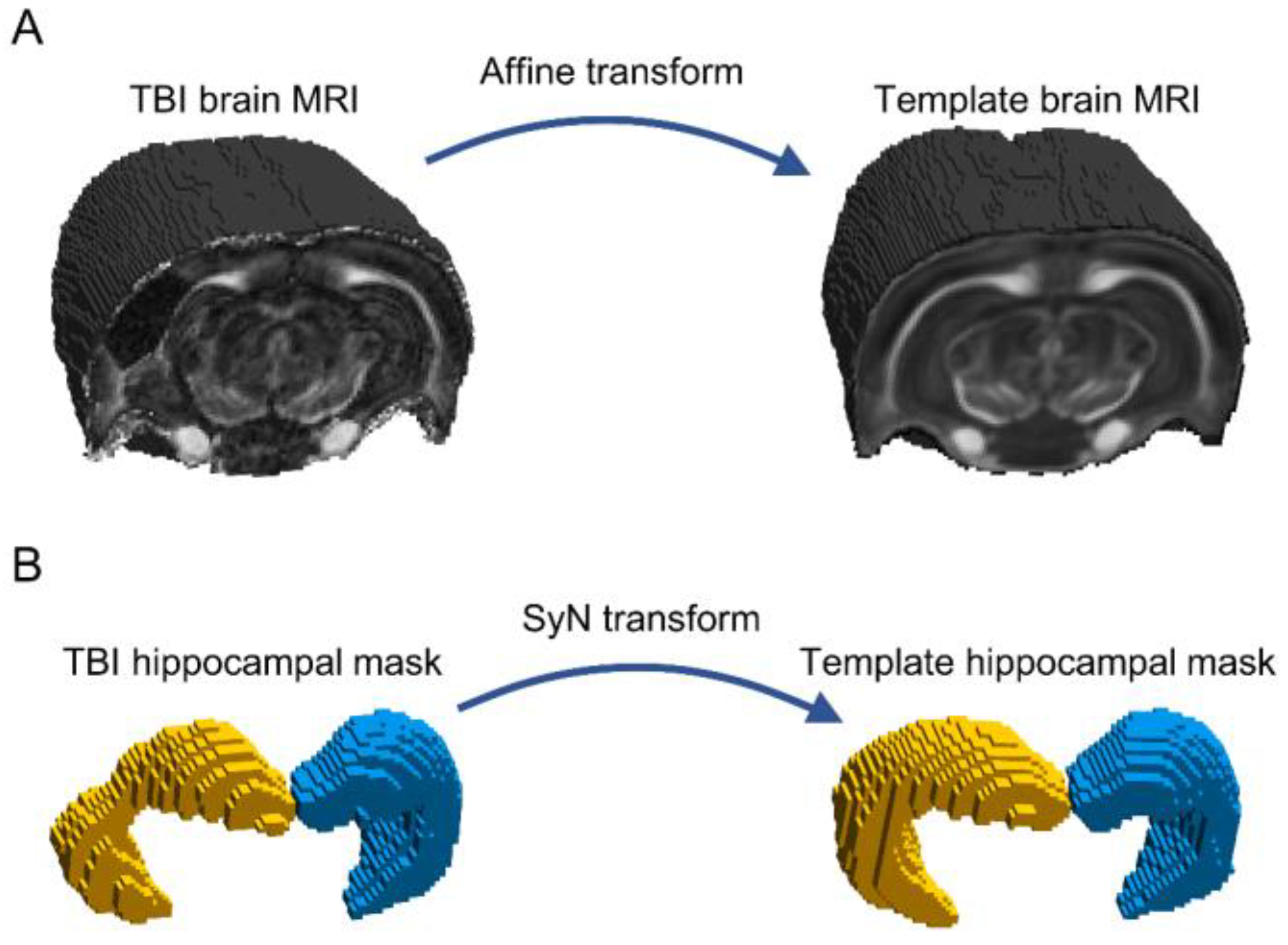 Biomedicines 10 02721 g003