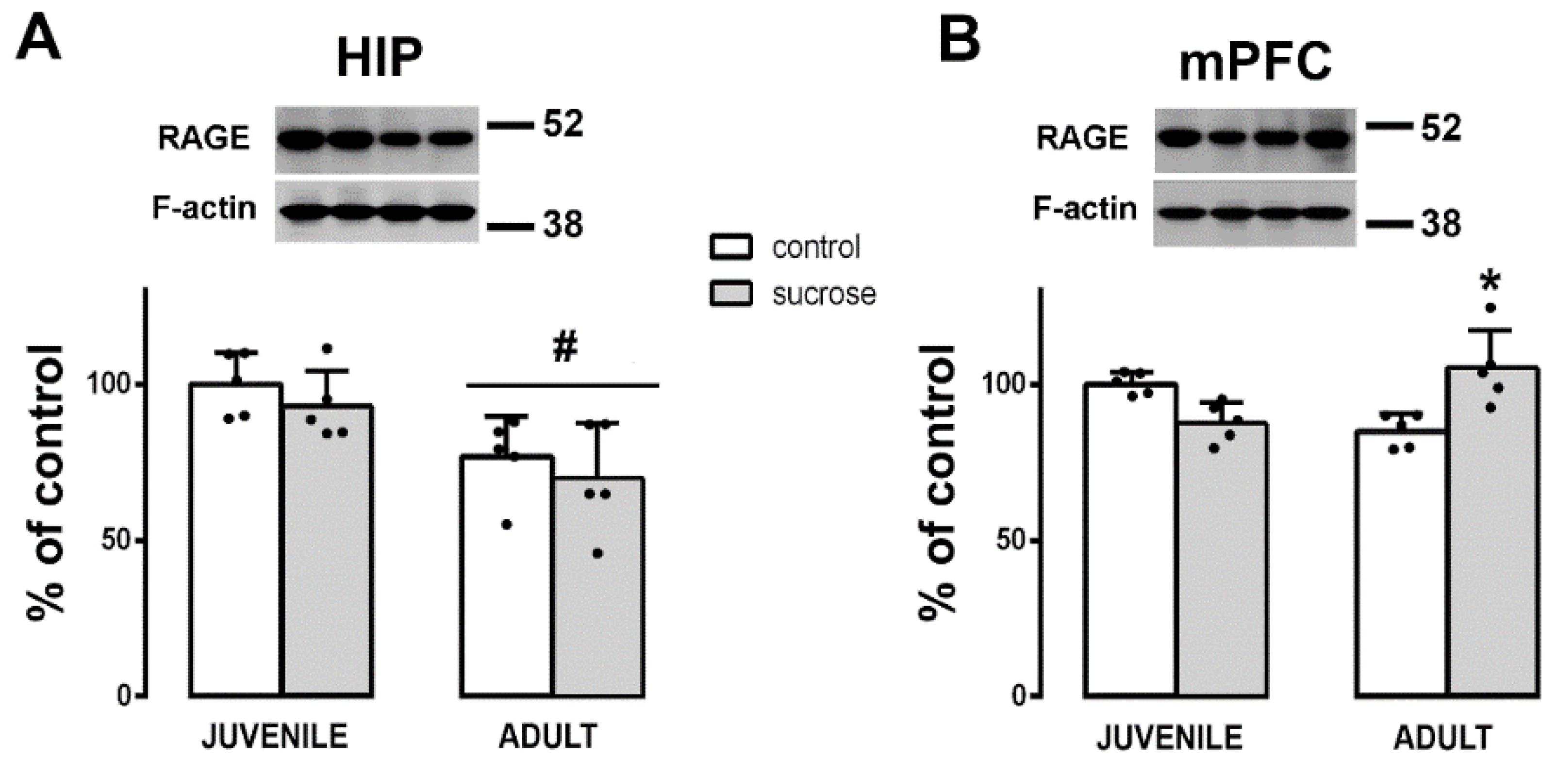 Biomedicines 10 02723 g006 Biomedicines 10 02723 g006