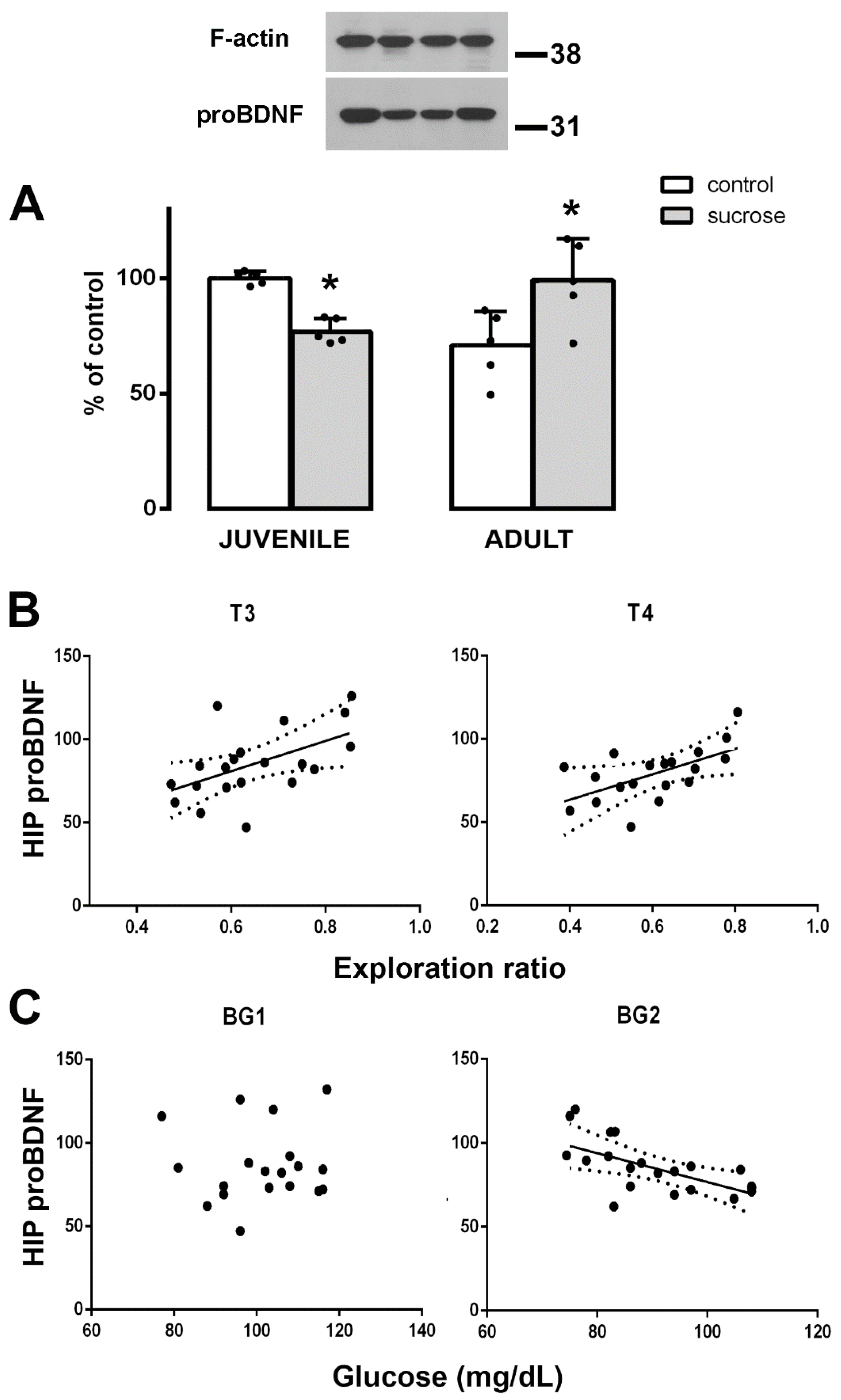 Biomedicines 10 02723 g007 Biomedicines 10 02723 g007