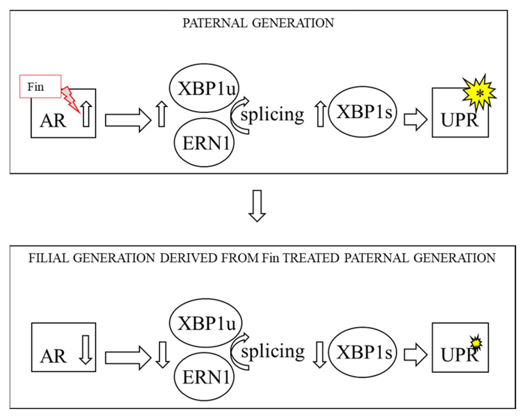 Biomedicines 10 02725 g001 Biomedicines 10 02725 g001