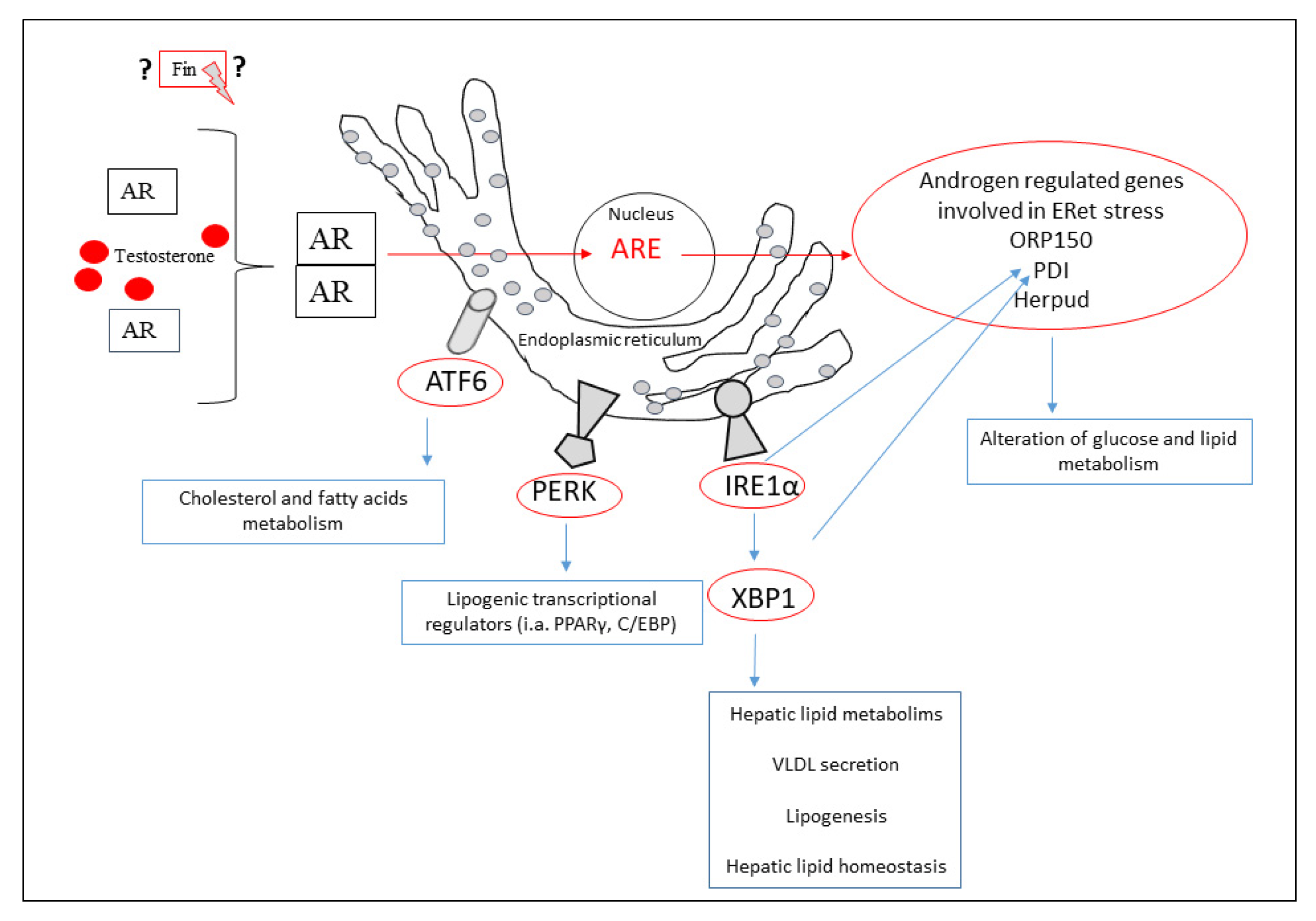 Biomedicines 10 02725 g002 Biomedicines 10 02725 g002