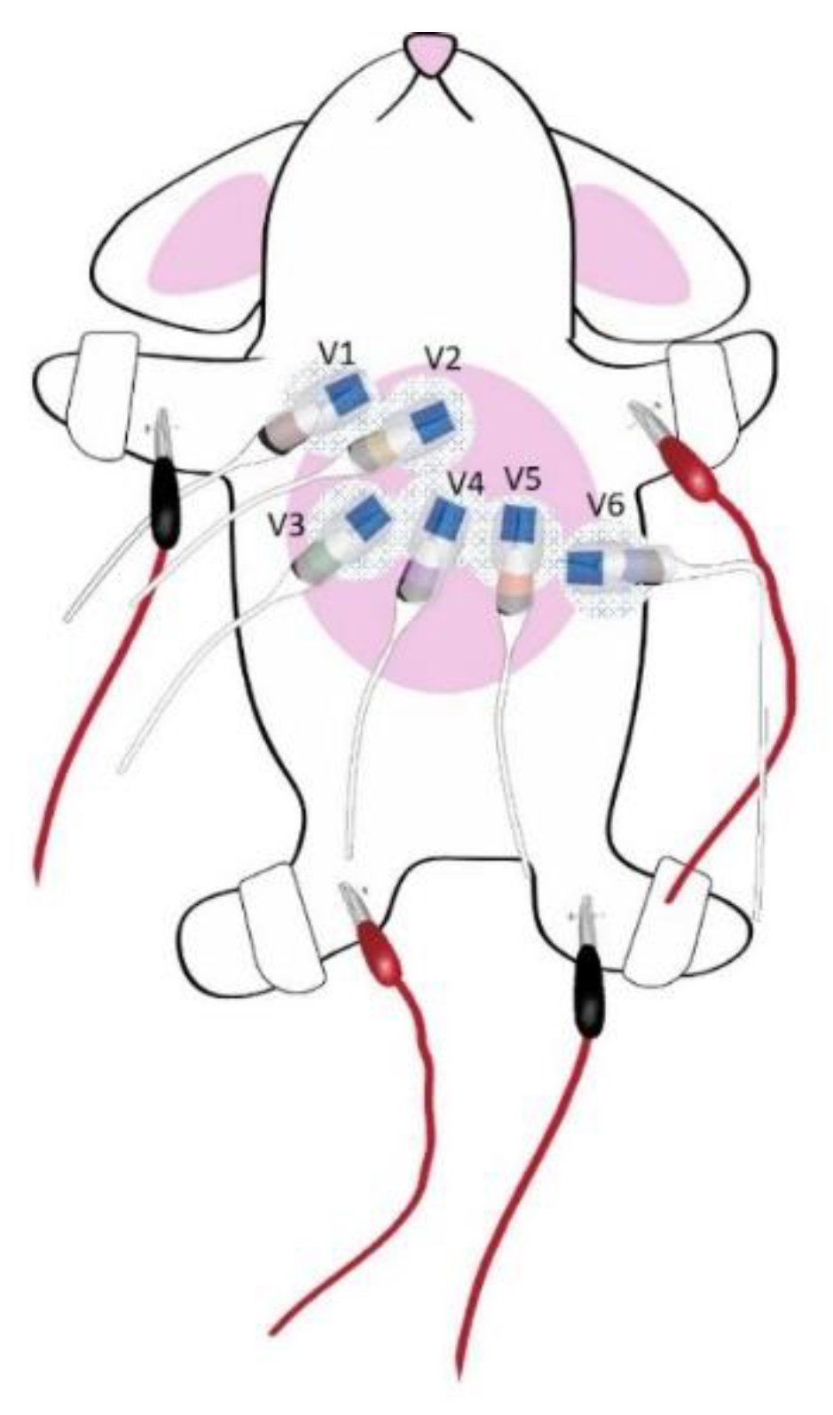 Biomedicines 10 02727 g001 Biomedicines 10 02727 g001