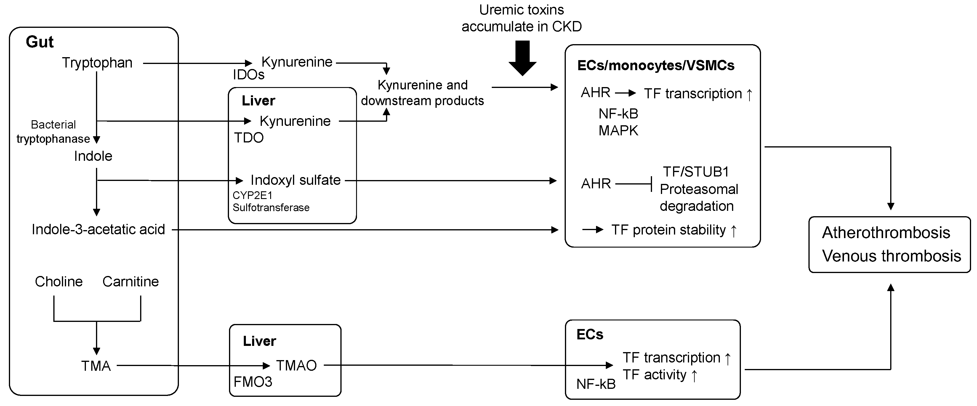 Biomedicines 10 02737 g001 Biomedicines 10 02737 g001