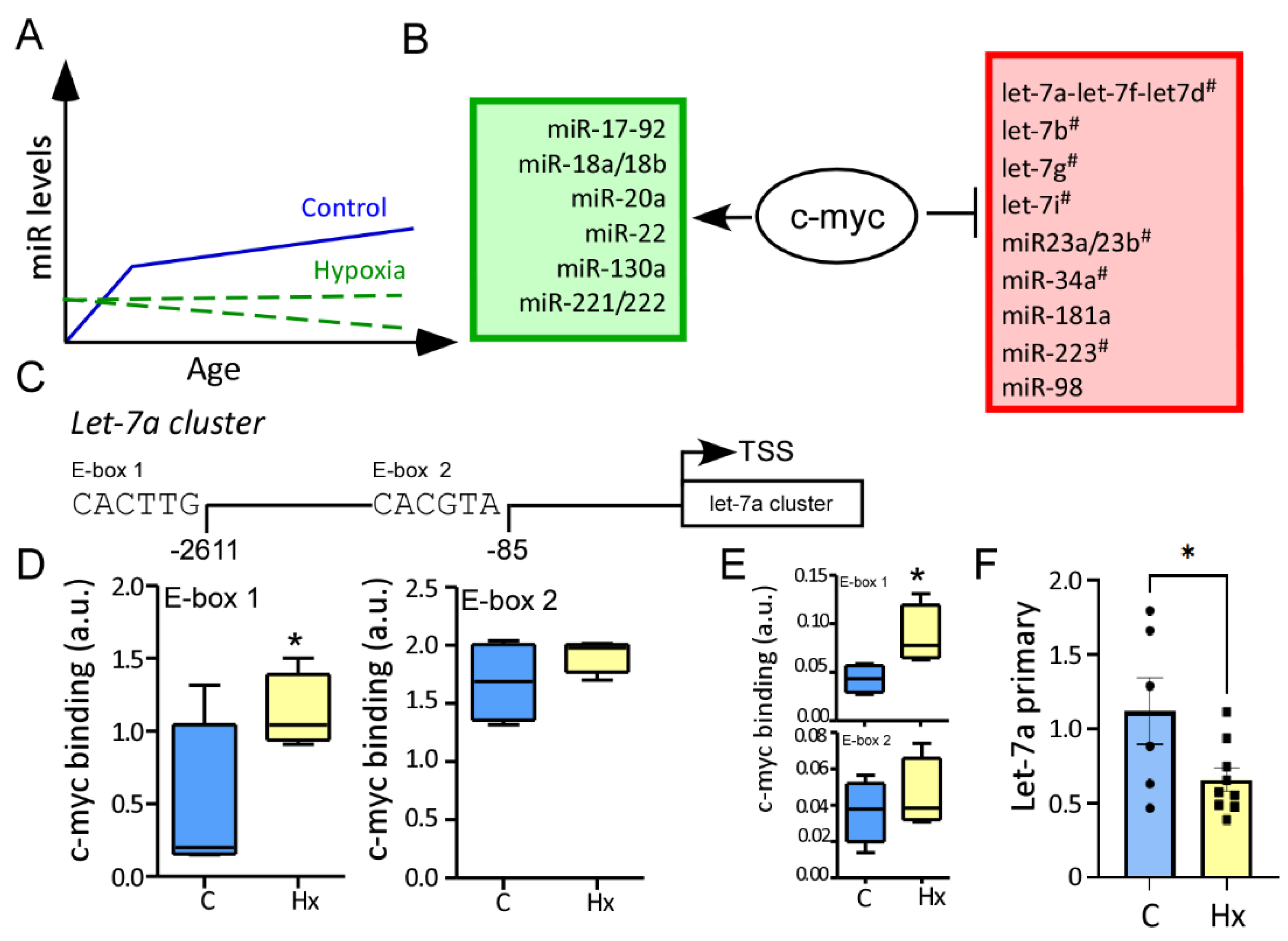 Biomedicines 10 02740 g004 Biomedicines 10 02740 g004