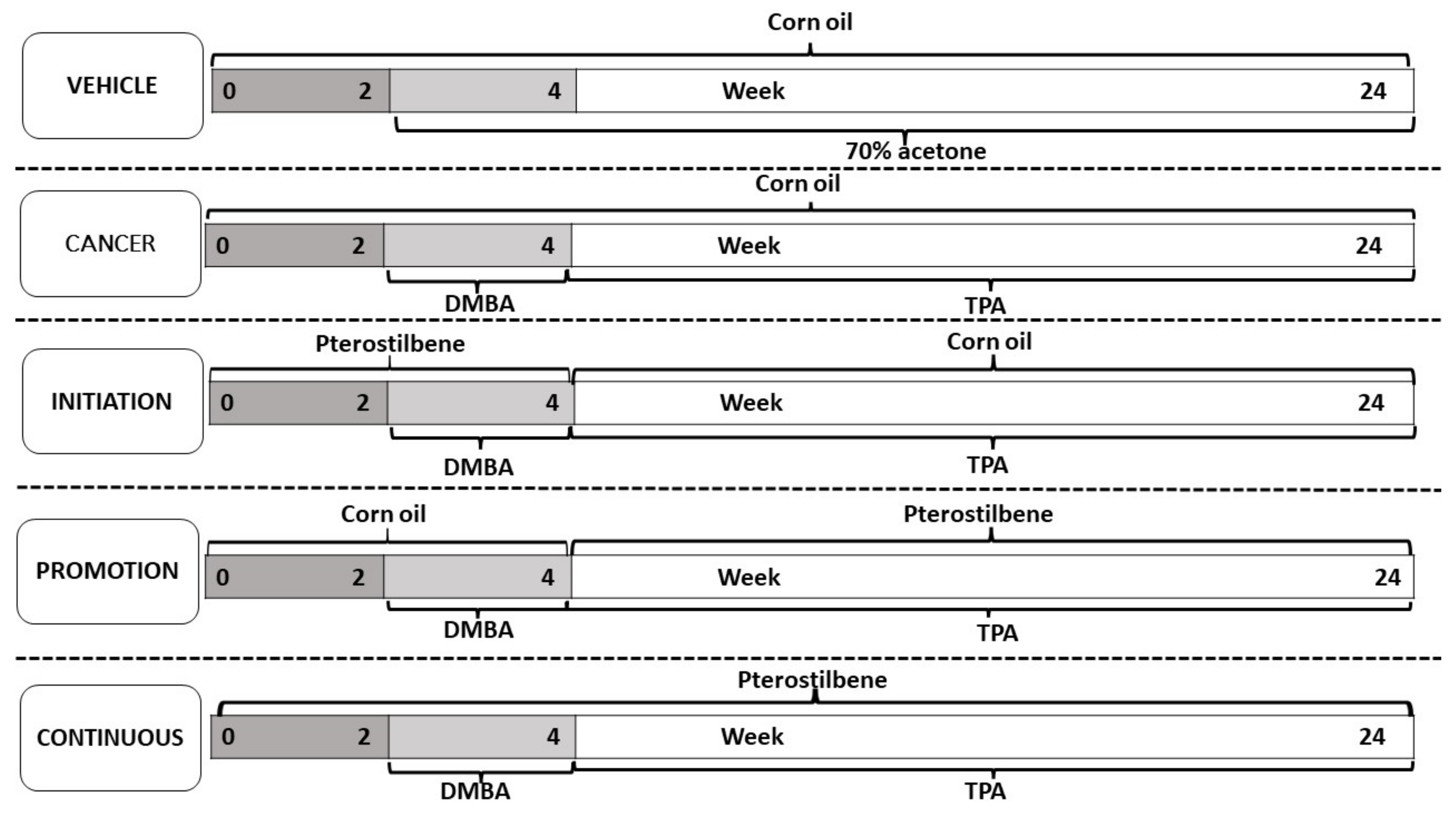 Biomedicines 10 02743 g002