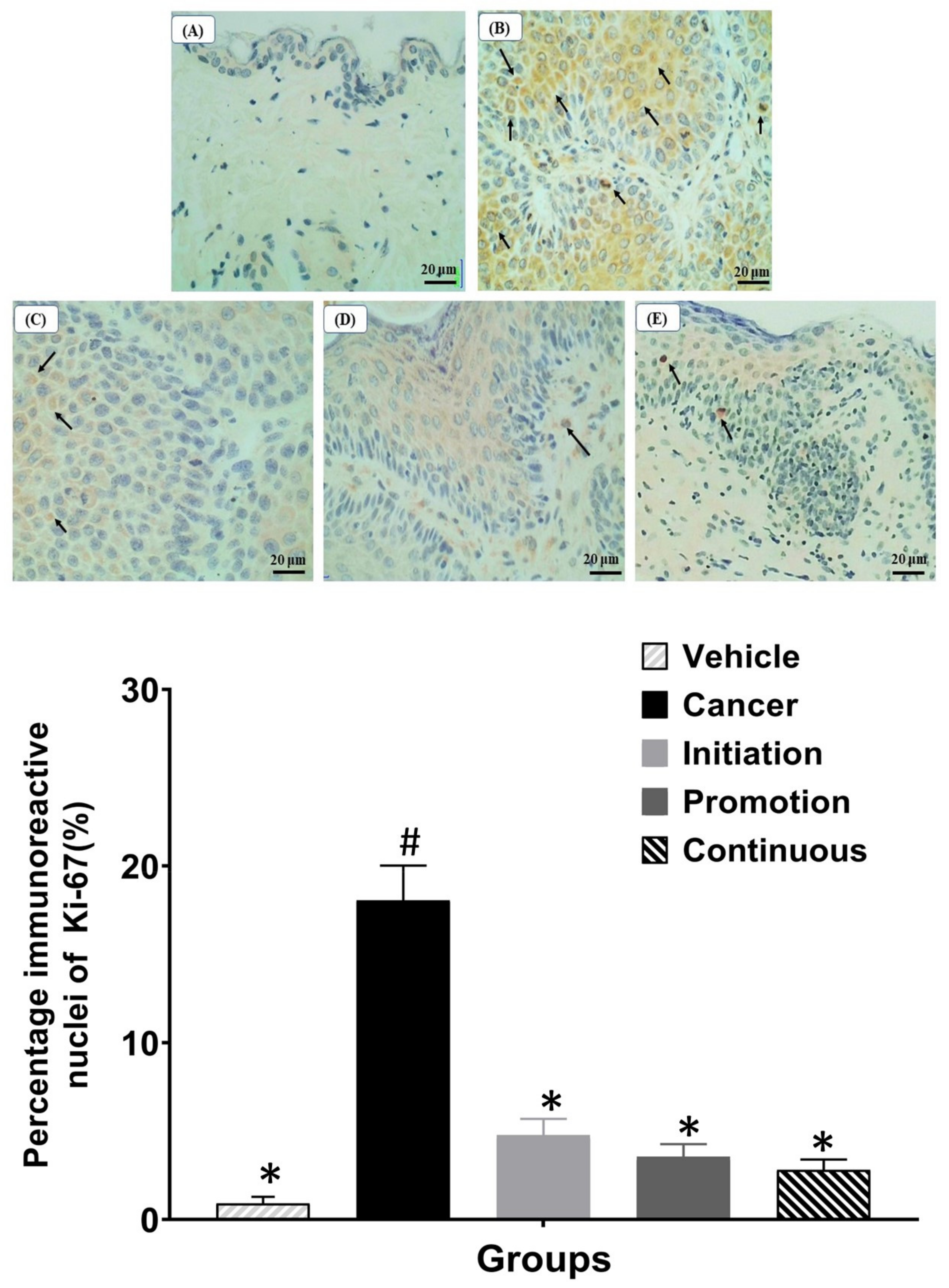 Biomedicines 10 02743 g006