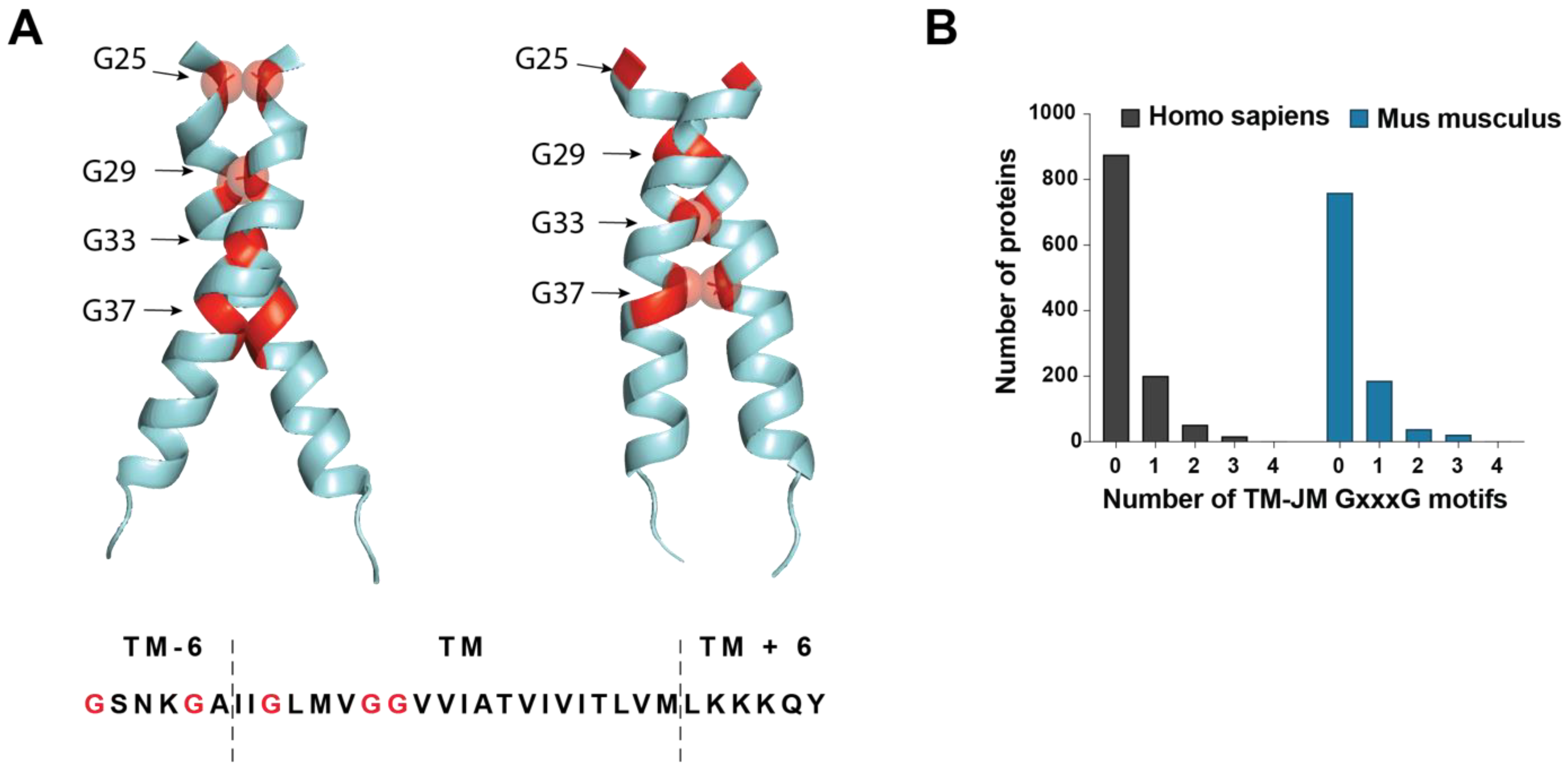 Biomedicines 10 02753 g003 Biomedicines 10 02753 g003