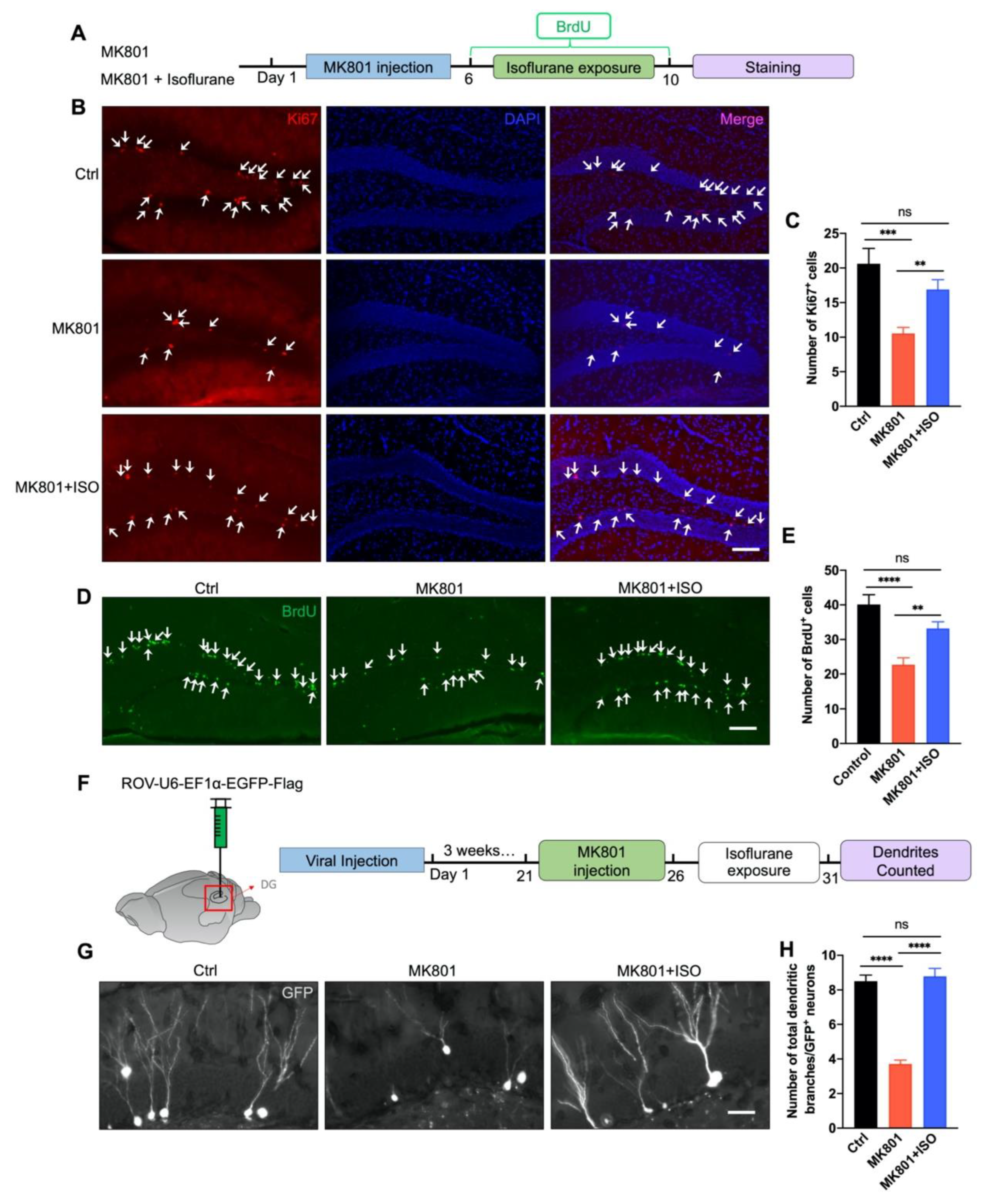 Biomedicines 10 02759 g002