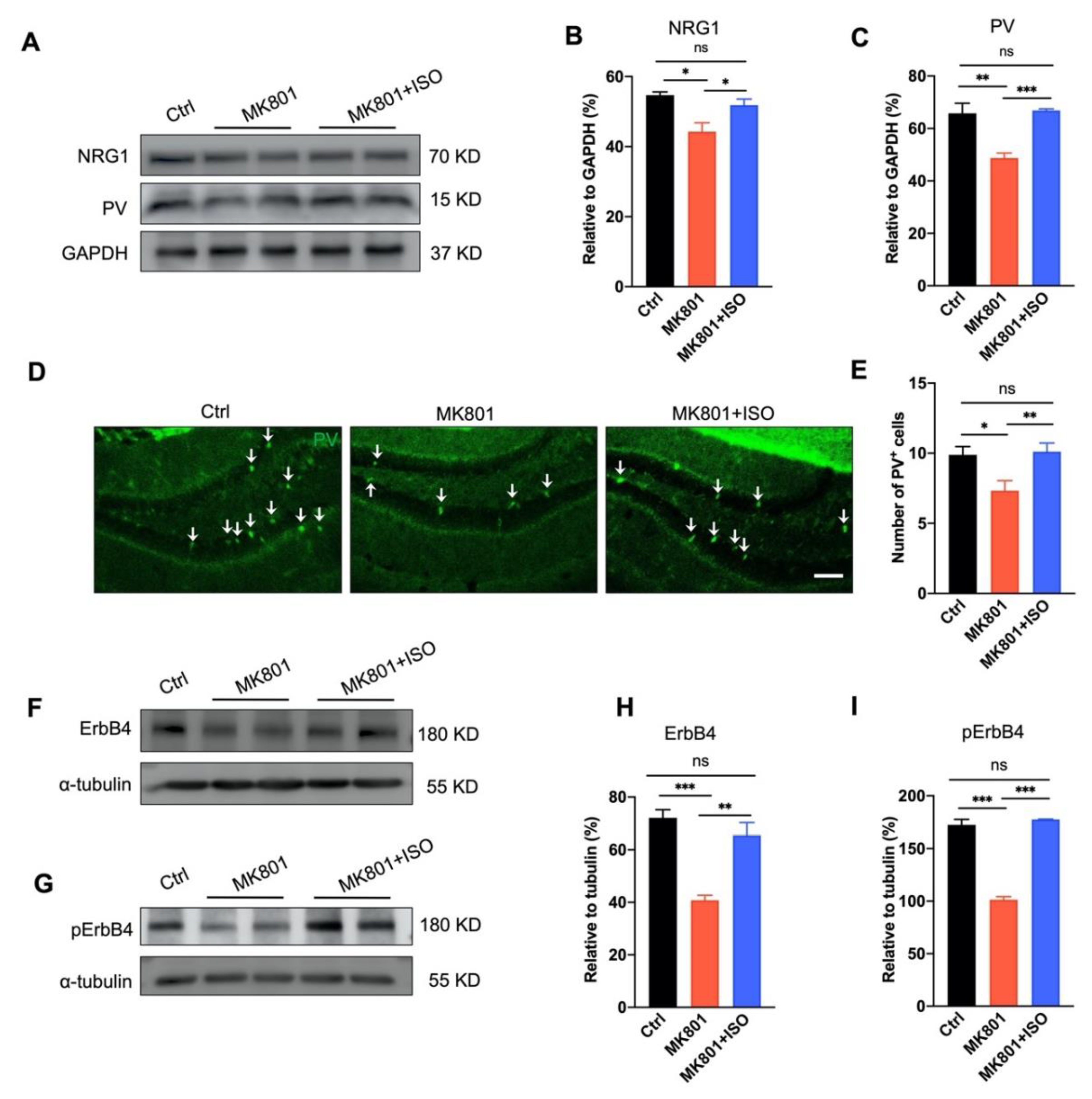 Biomedicines 10 02759 g004