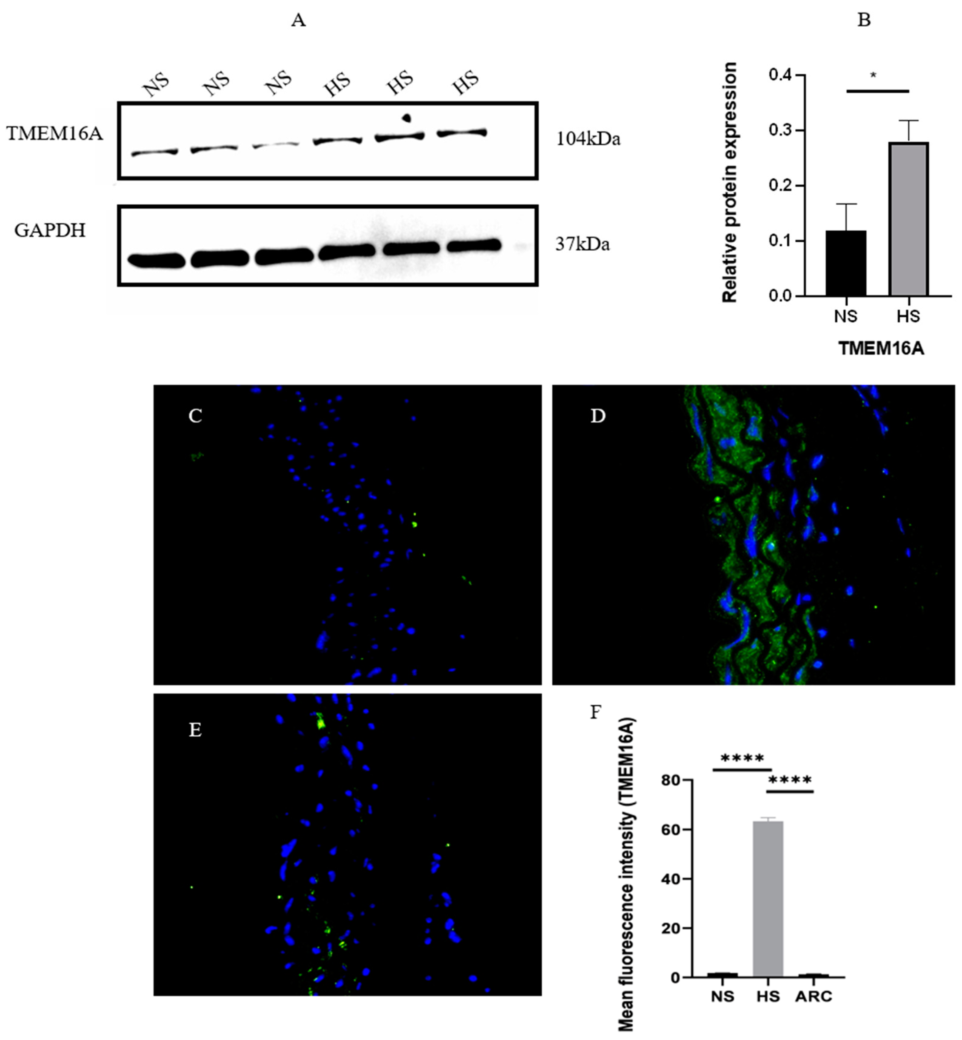 Biomedicines 10 02760 g003