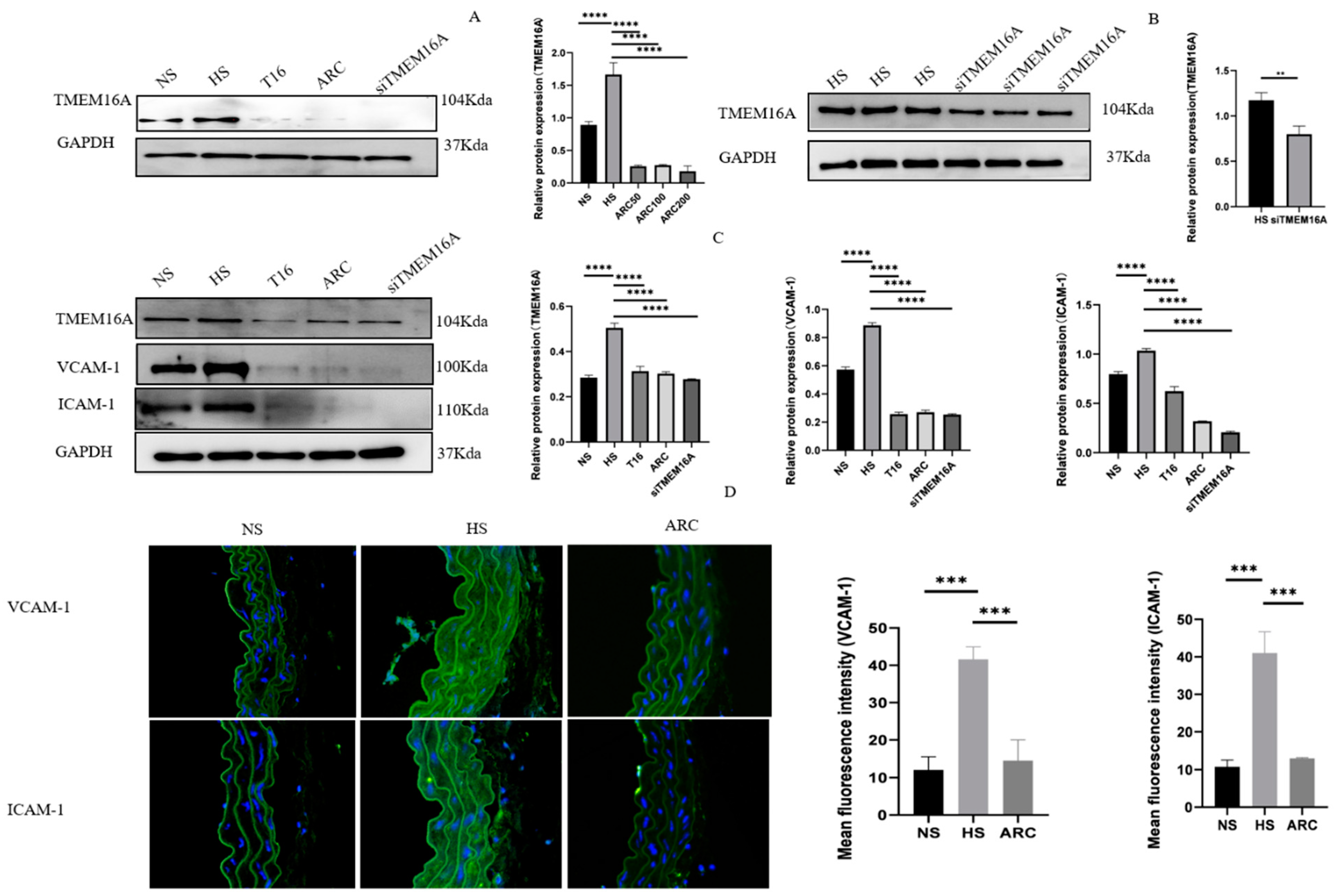 Biomedicines 10 02760 g004