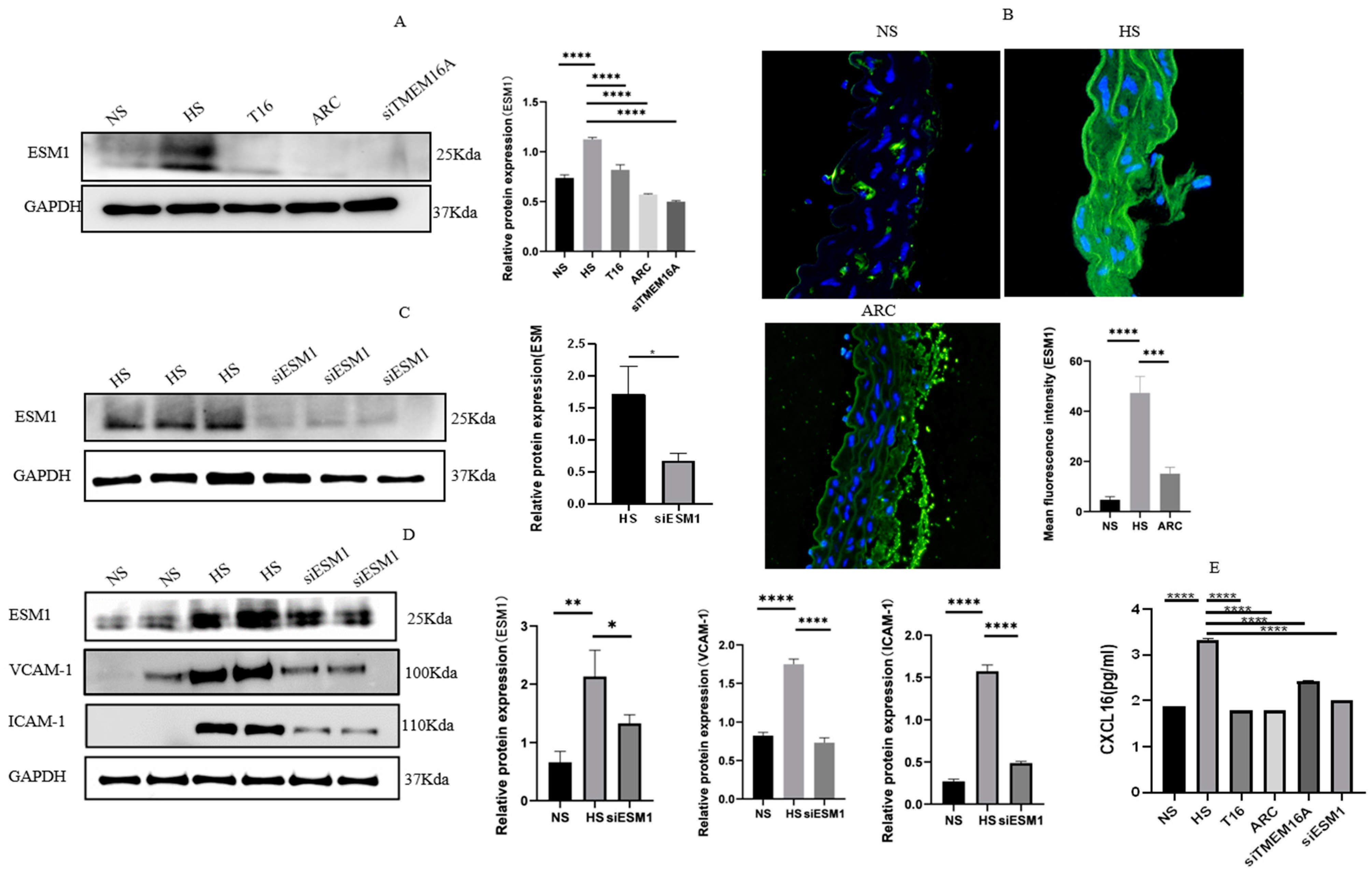Biomedicines 10 02760 g006