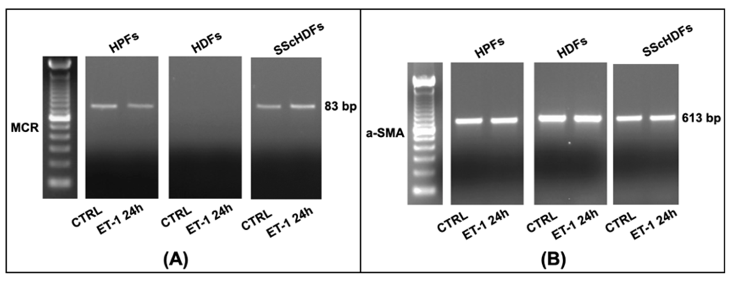 Biomedicines 10 02765 g003 Biomedicines 10 02765 g003