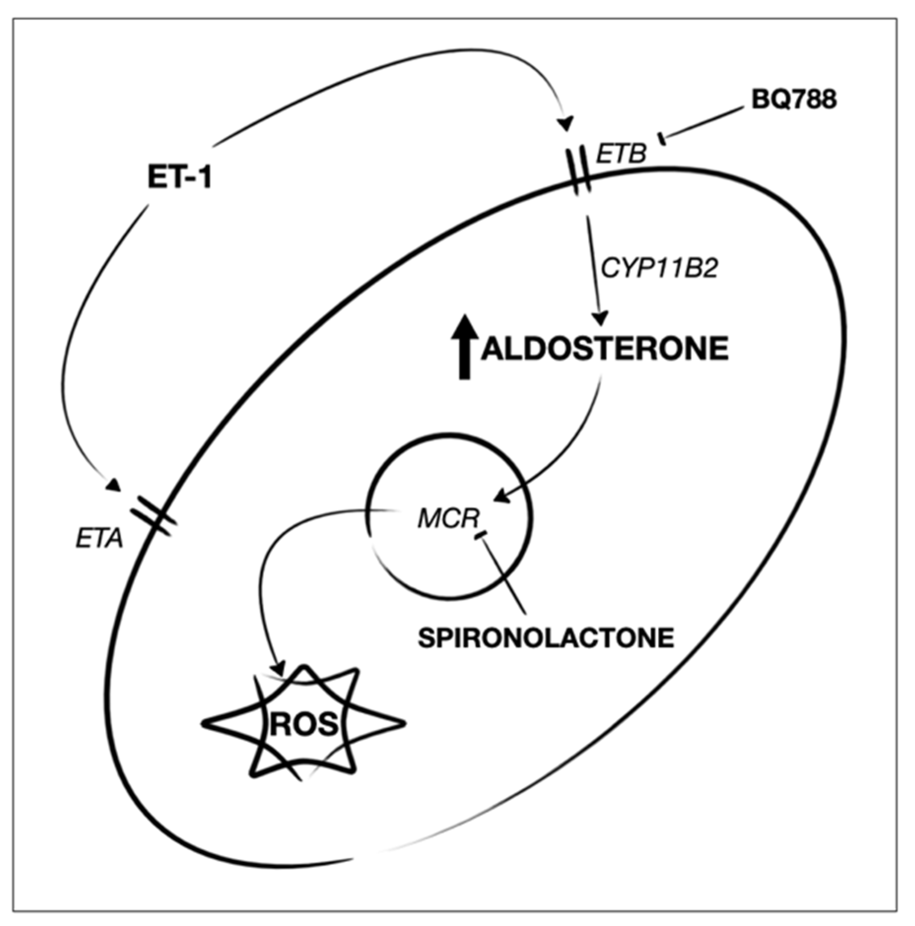 Biomedicines 10 02765 g008 Biomedicines 10 02765 g008