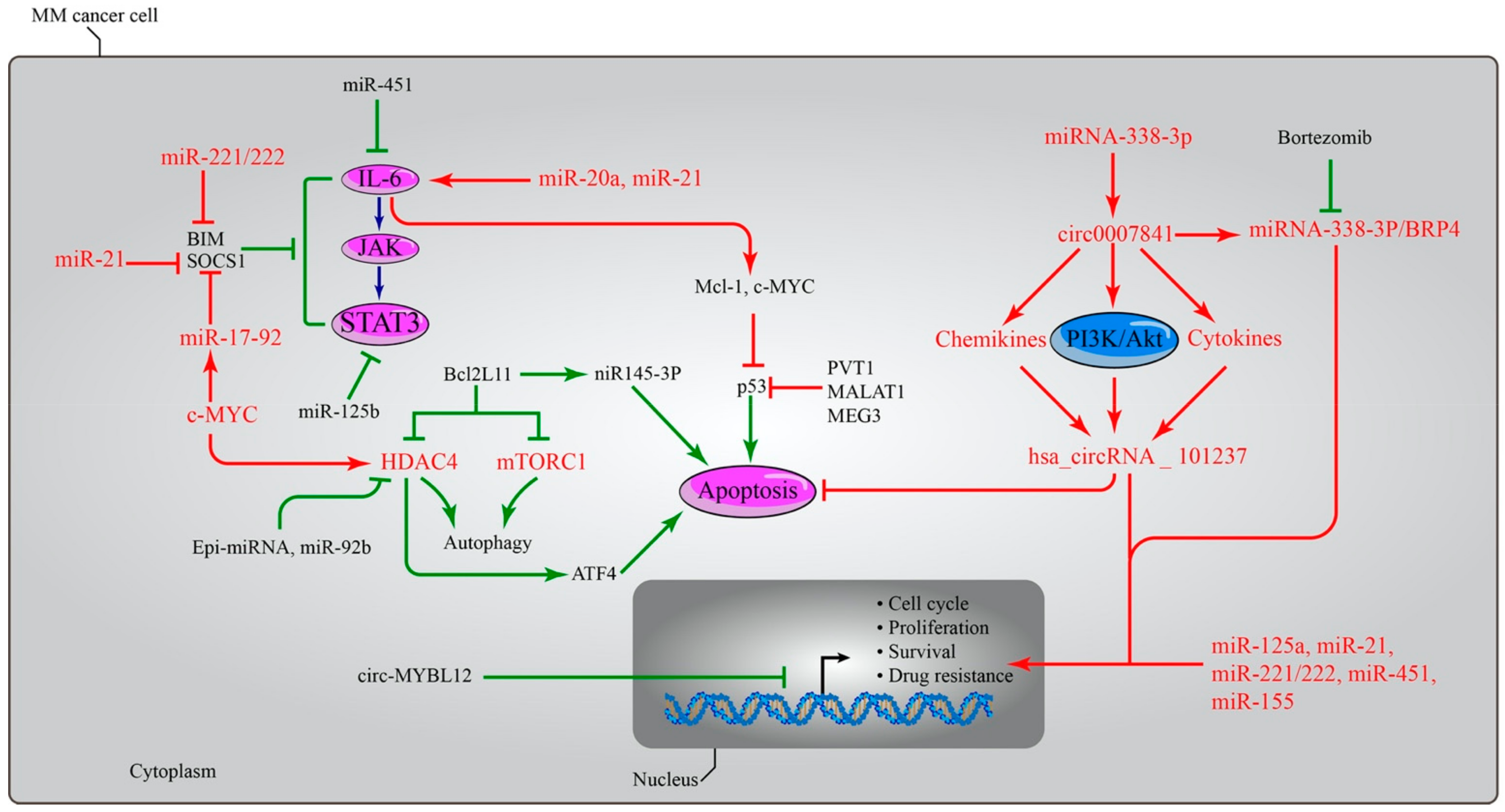 Biomedicines 10 02767 g003