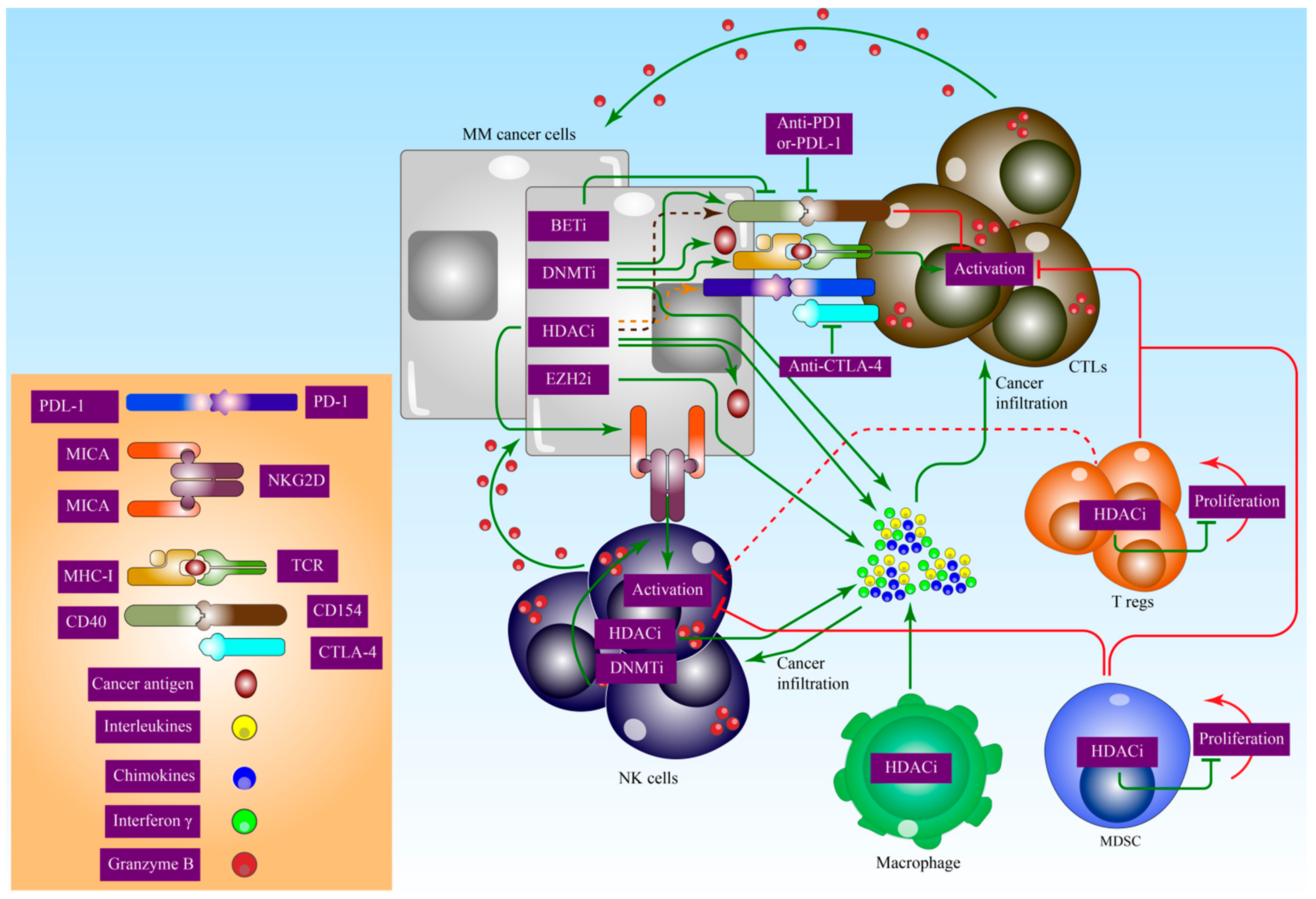 Biomedicines 10 02767 g004