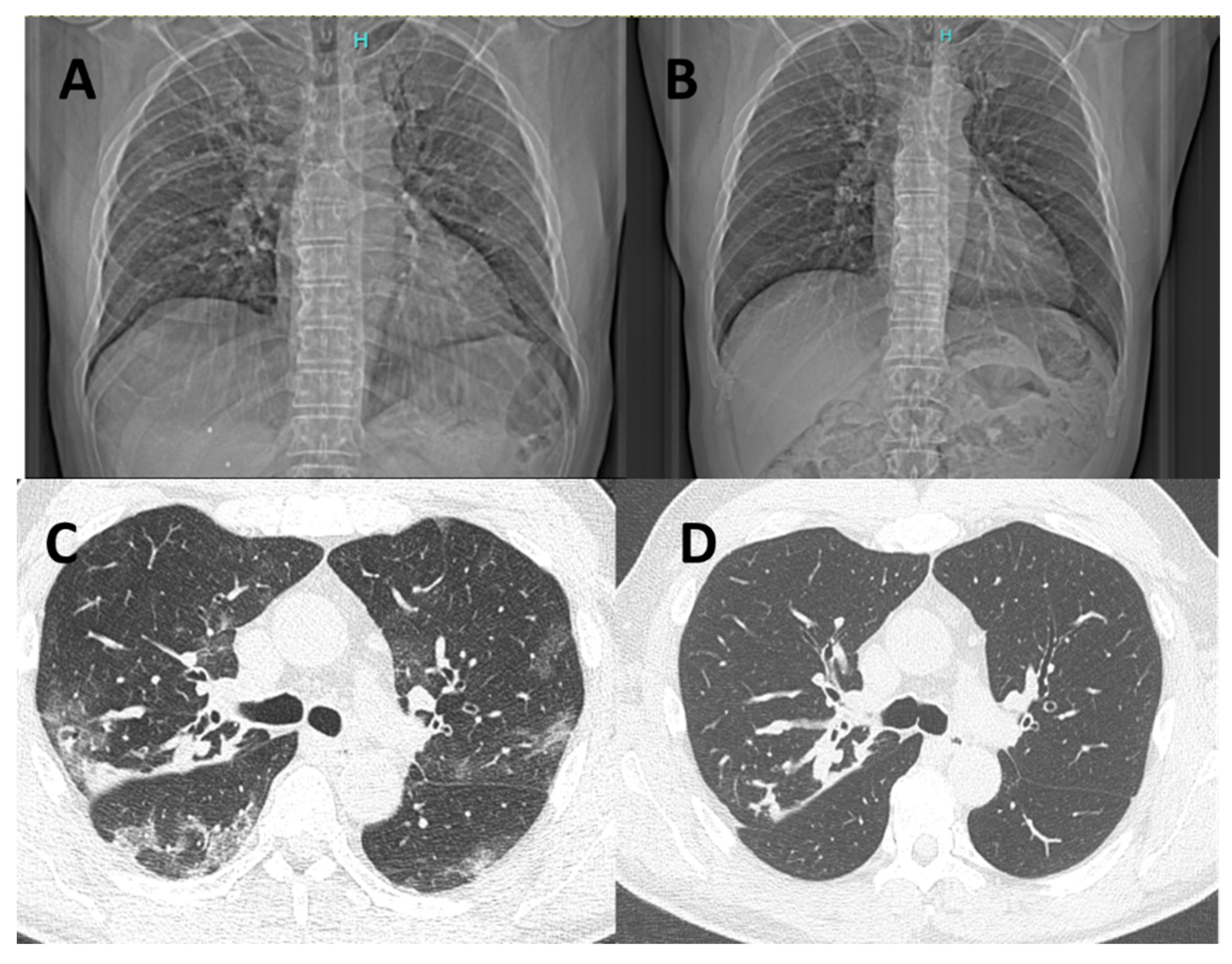 Biomedicines 10 02771 g001