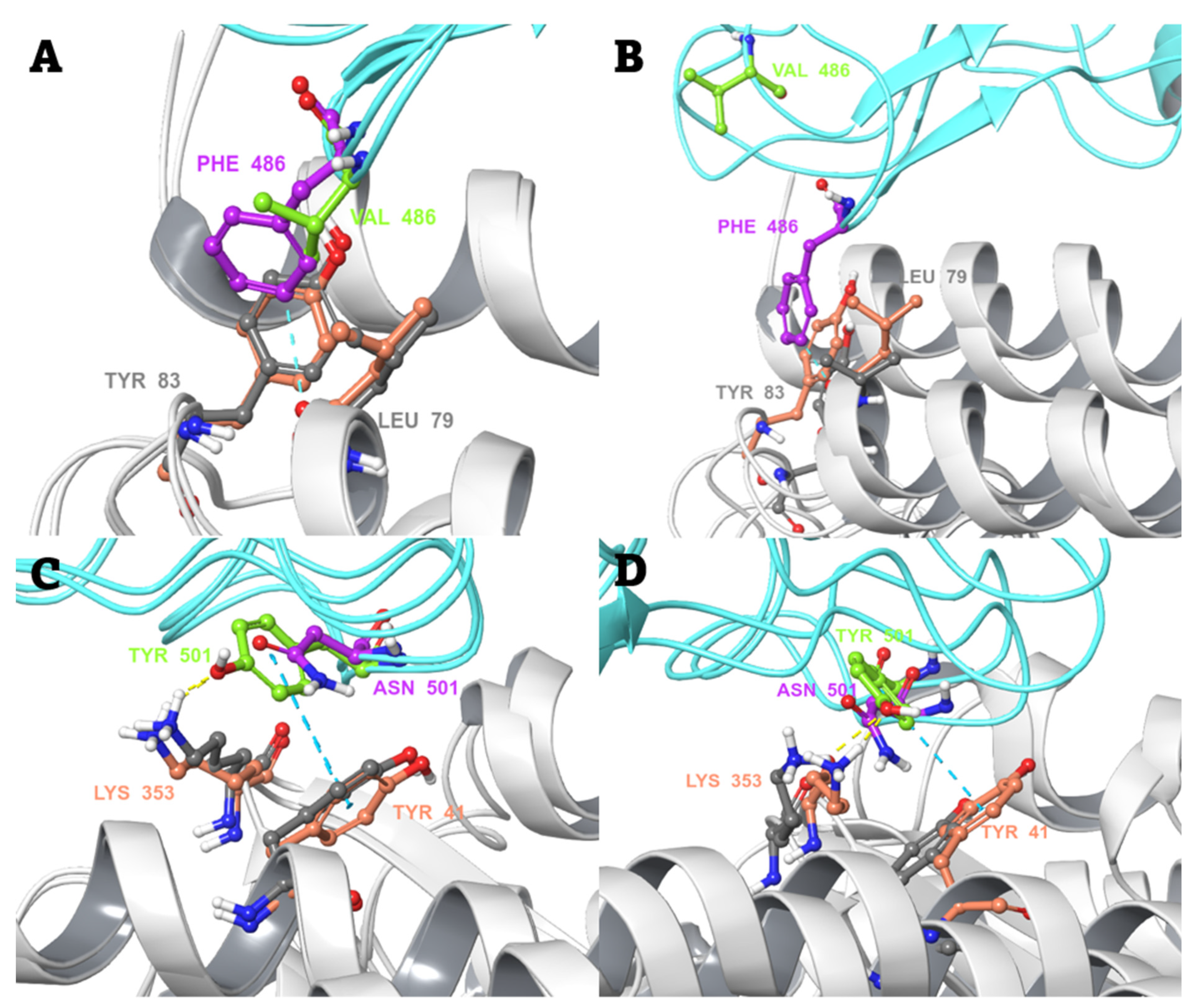 Biomedicines 10 02779 g004