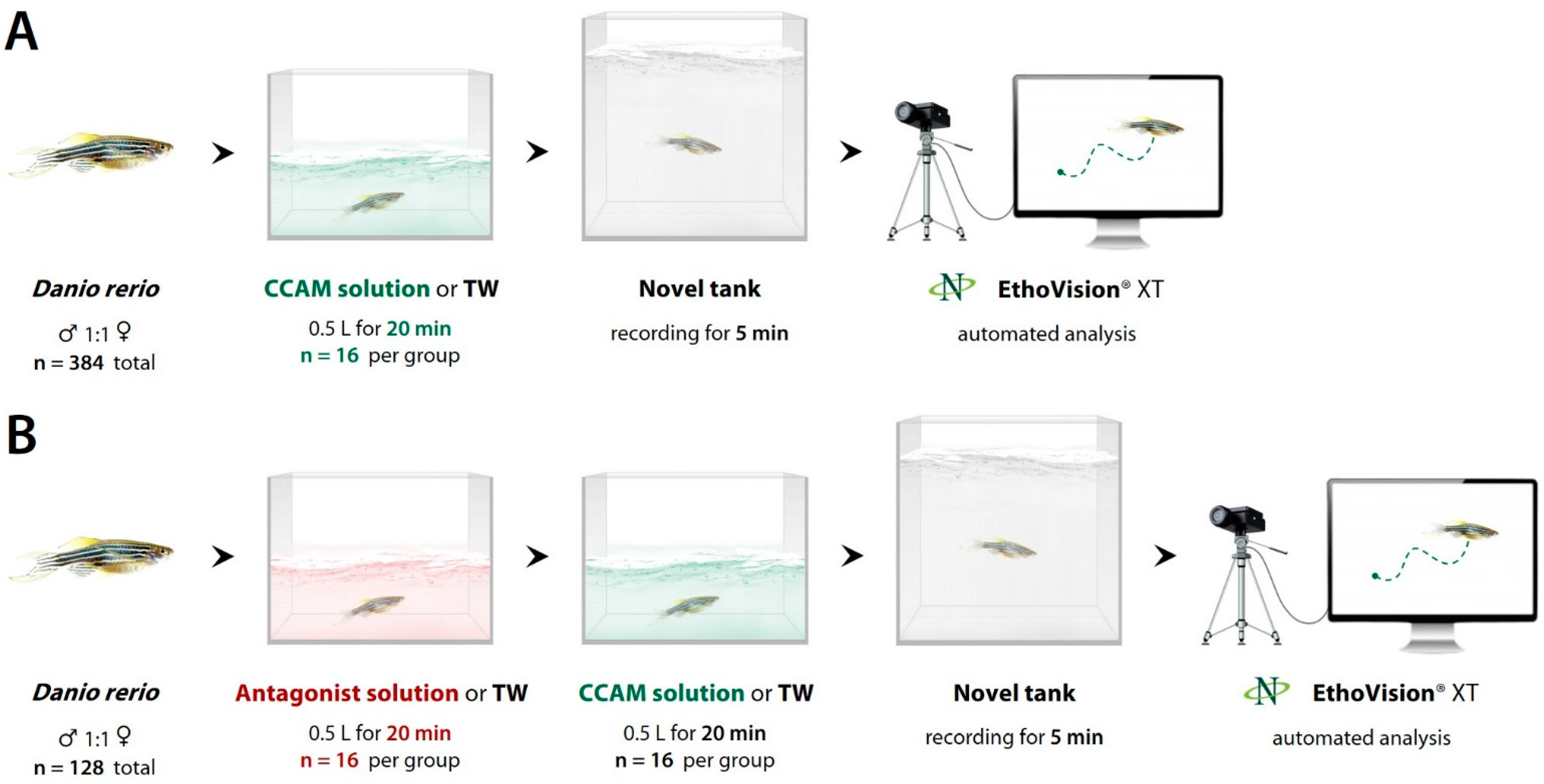 Biomedicines 10 02783 g001