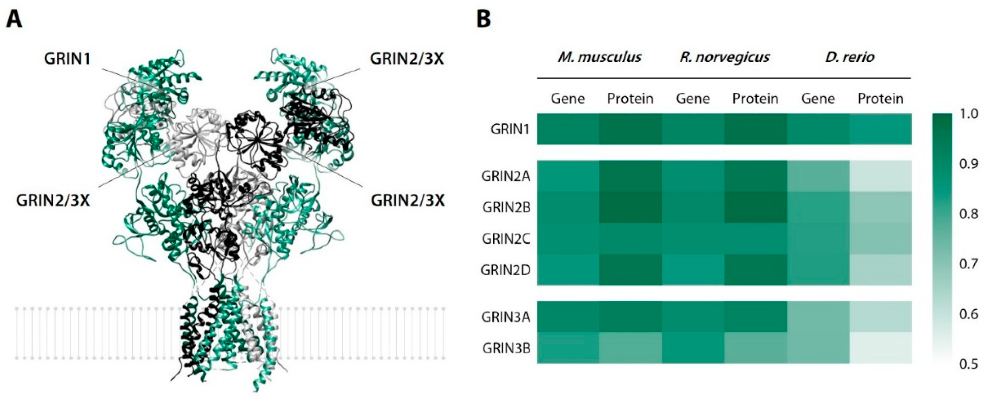 Biomedicines 10 02783 g013