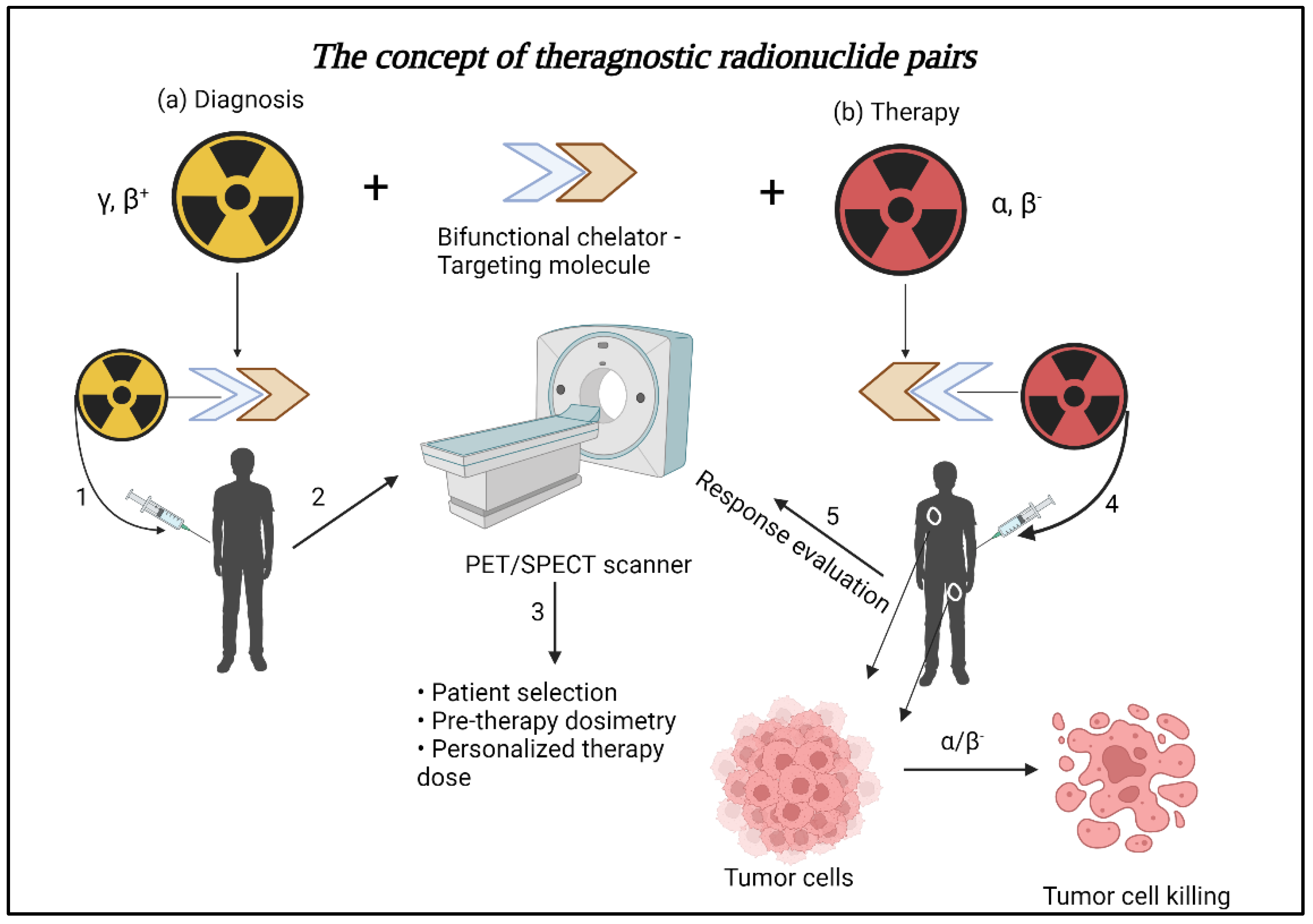 Biomedicines 10 02787 g001 Biomedicines 10 02787 g001