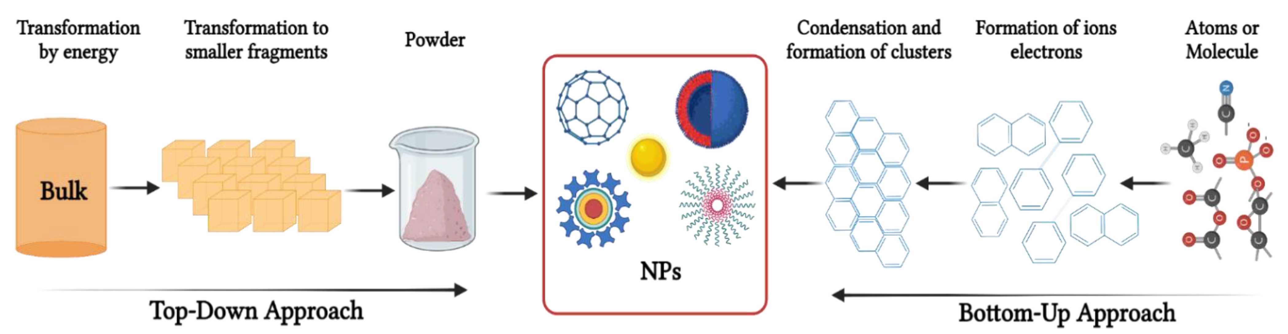 Biomedicines 10 02792 g001